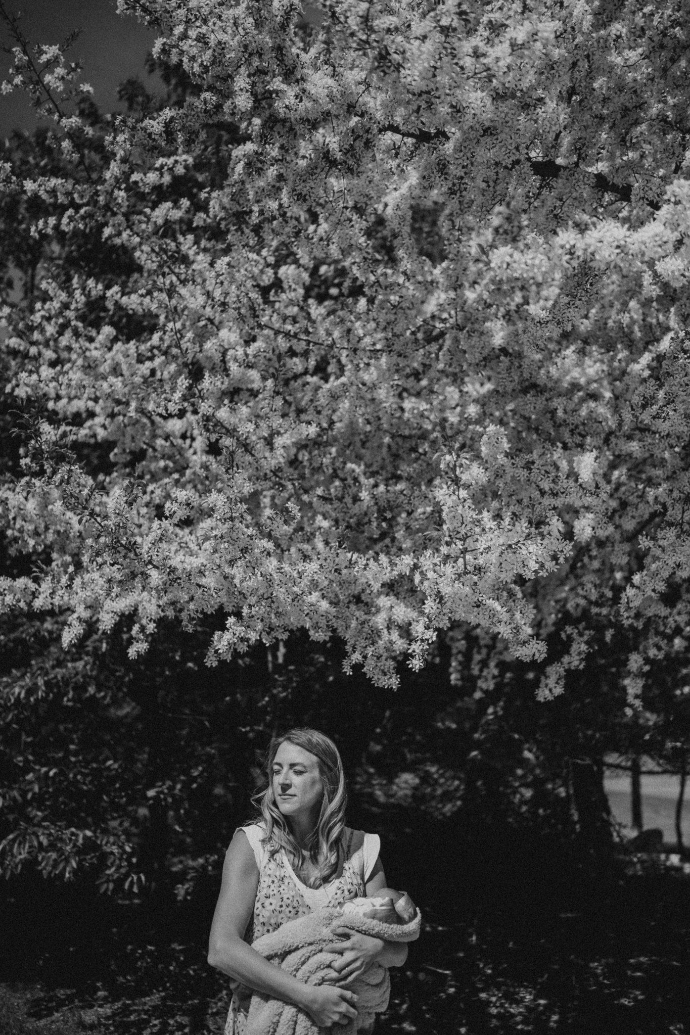 Black and white portrait under flowering trees shows figure holding wrapped newborn.
