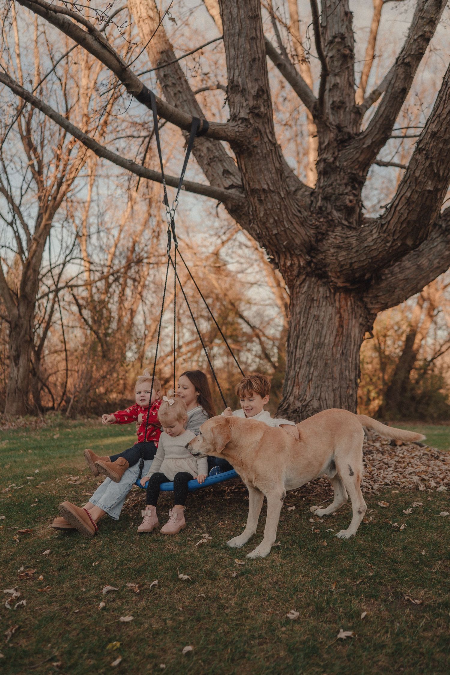Family relaxes under large autumn trees with their golden retriever dog.
