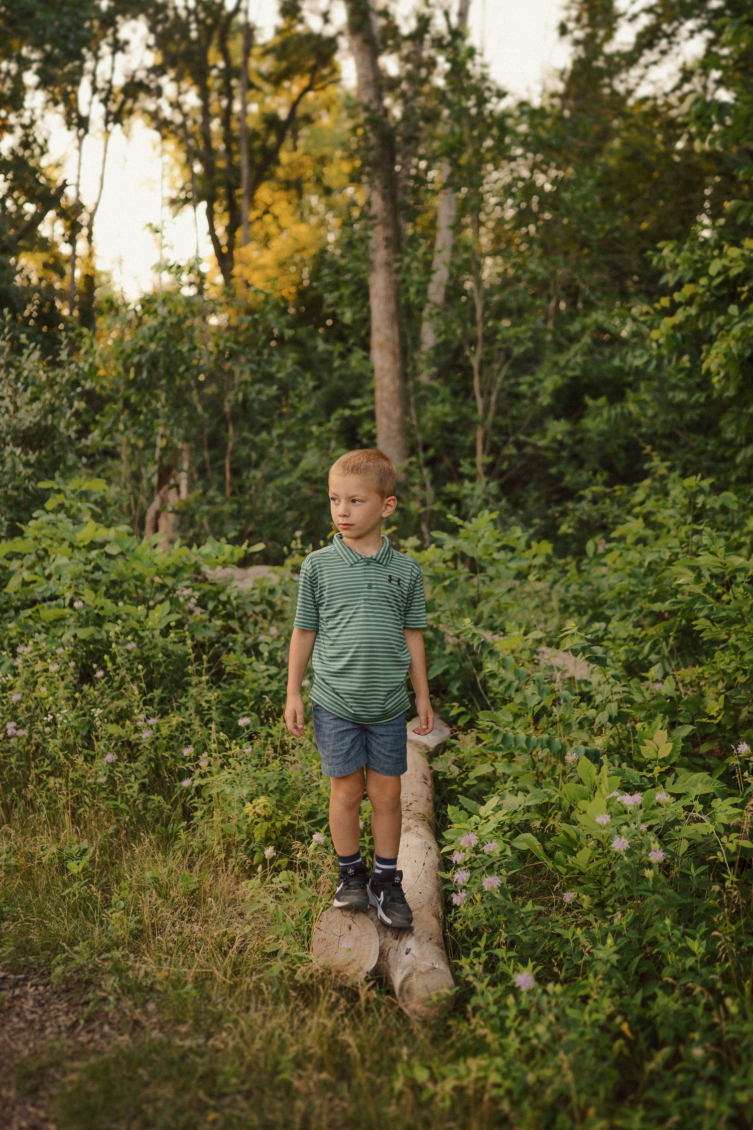 A young child stands on a tree stump along a nature trail surrounded by lush green foliage in summer sunlight.
