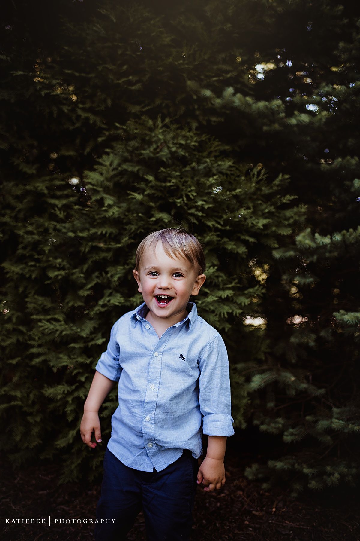 Playful outdoor portrait of young child in blue shirt against dark evergreen background.