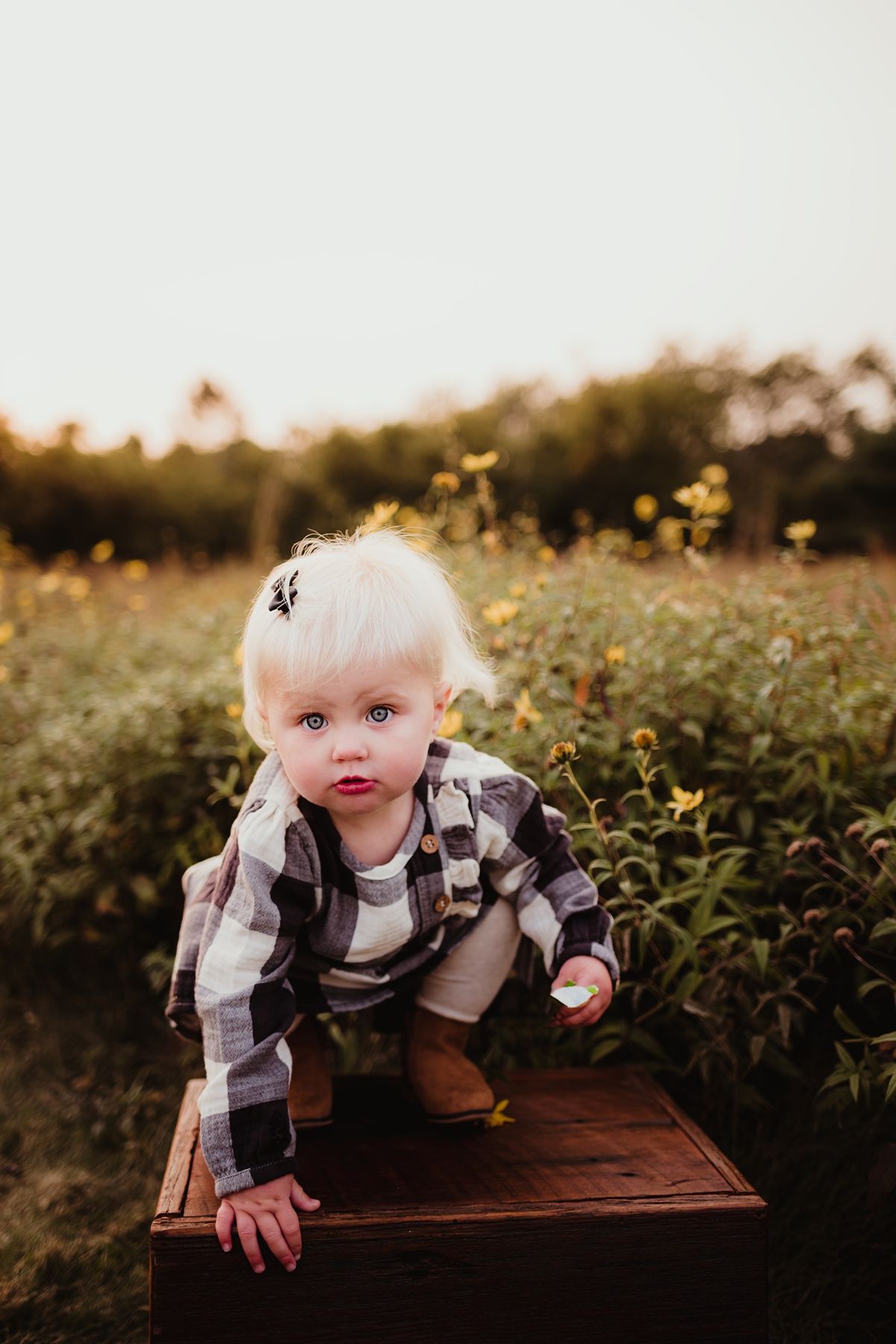 Toddler in checkered dress crouches on wooden platform surrounded by autumn wildflowers.