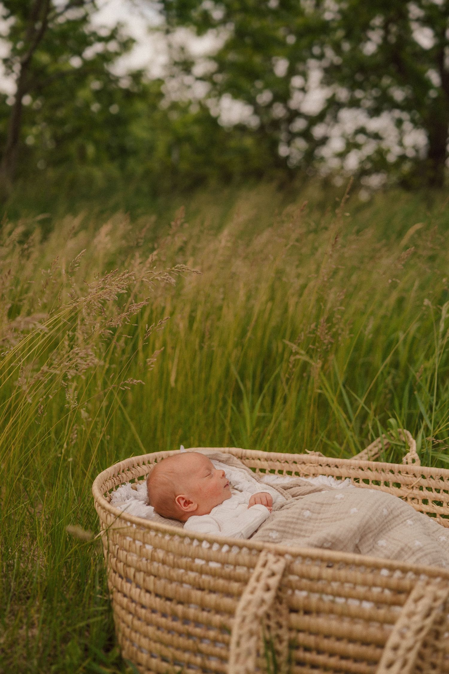 A peaceful newborn baby sleeps in a woven wicker basket nestled in a green grassy field.