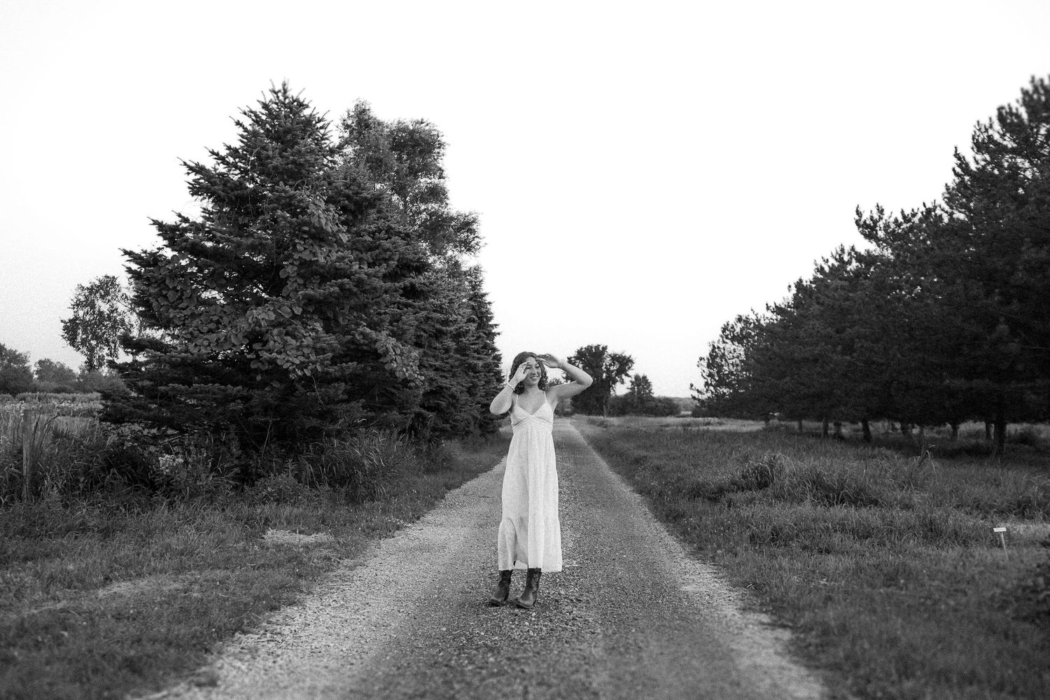 Black and white landscape series showing a winding country road bordered by pine trees.