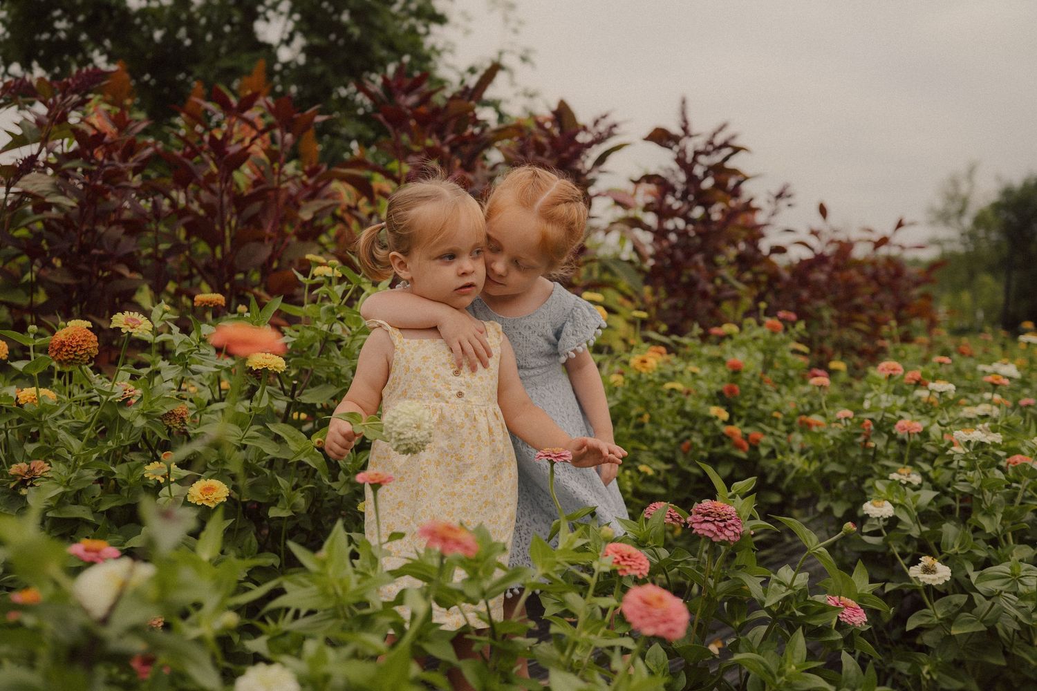 A beautiful garden setting with spring flowers and blooming roses creating a romantic atmosphere.