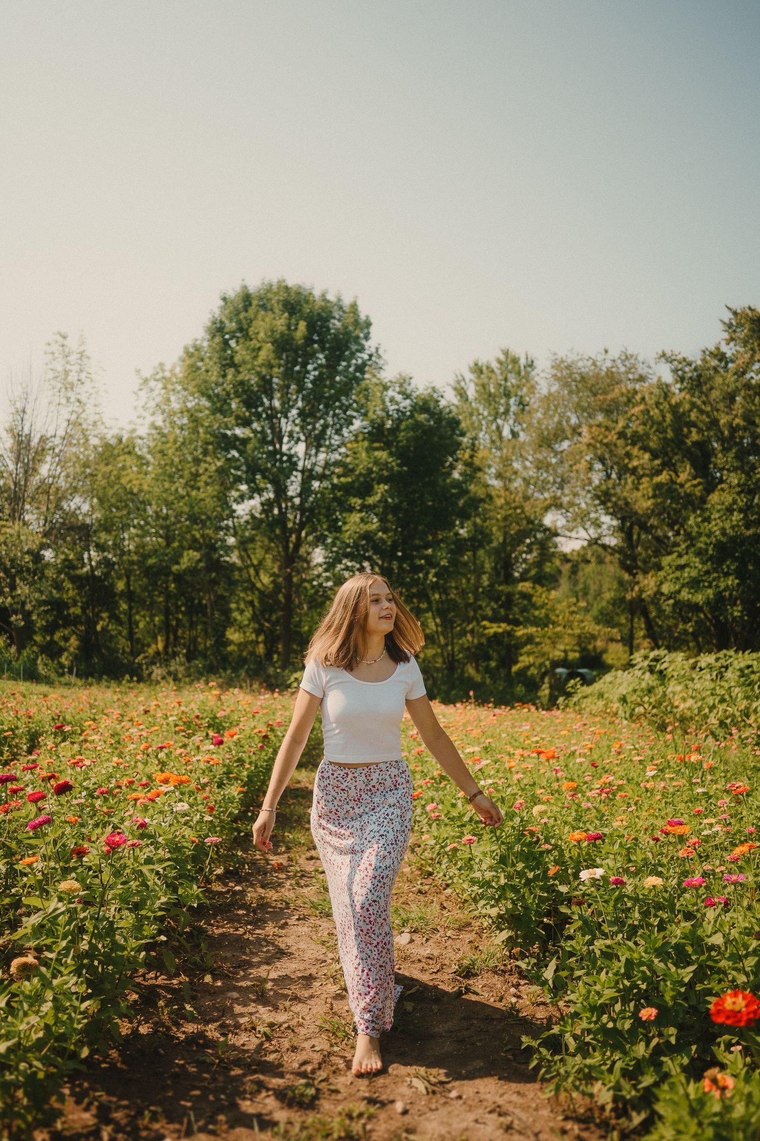 A person strolling through rows of vibrant flowers on a sunny summer day.