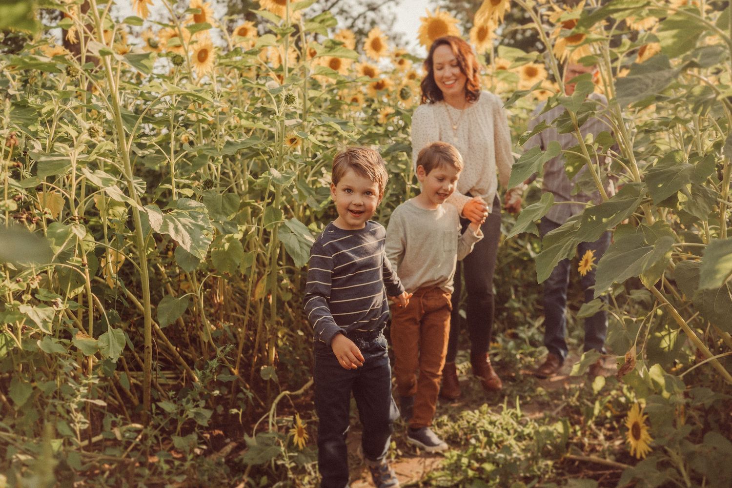 Family poses playfully in a sunflower field during golden hour.