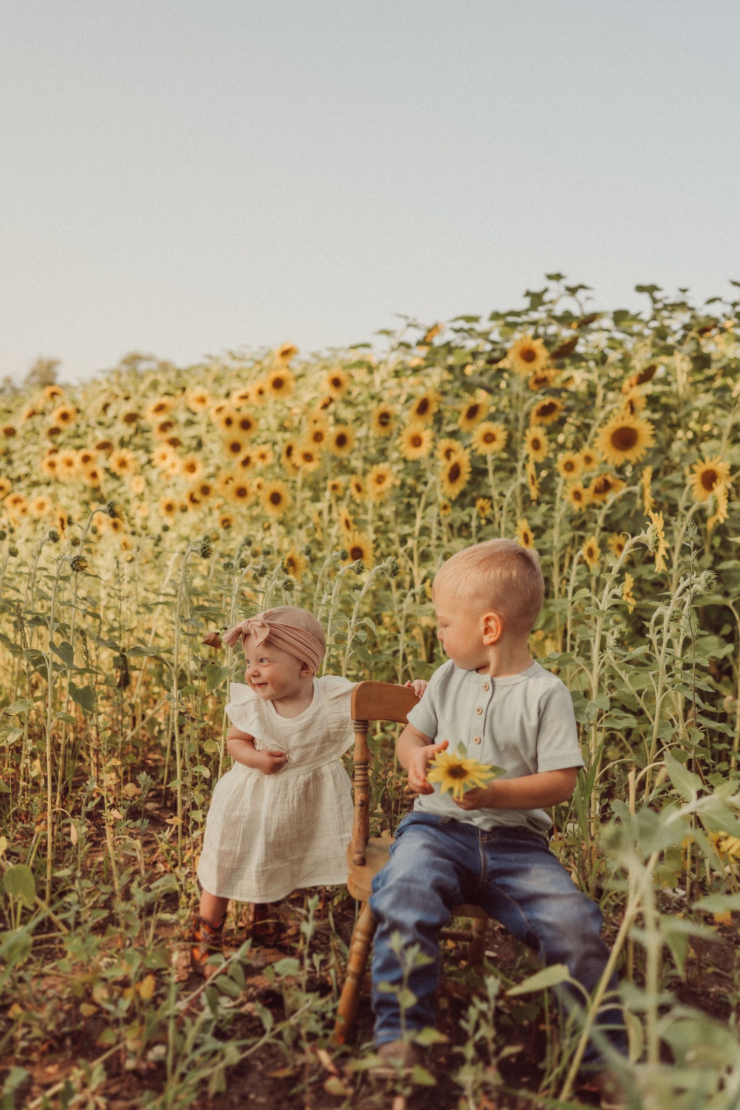 Two children sitting together in a field of tall sunflowers at sunset.