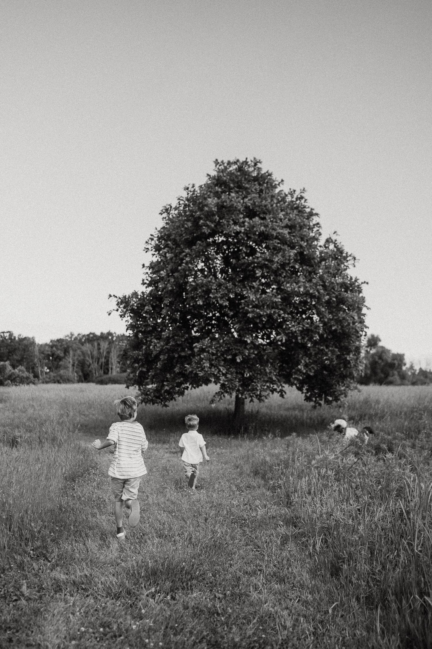 Children running through a grassy field toward a large tree in black and white photography.