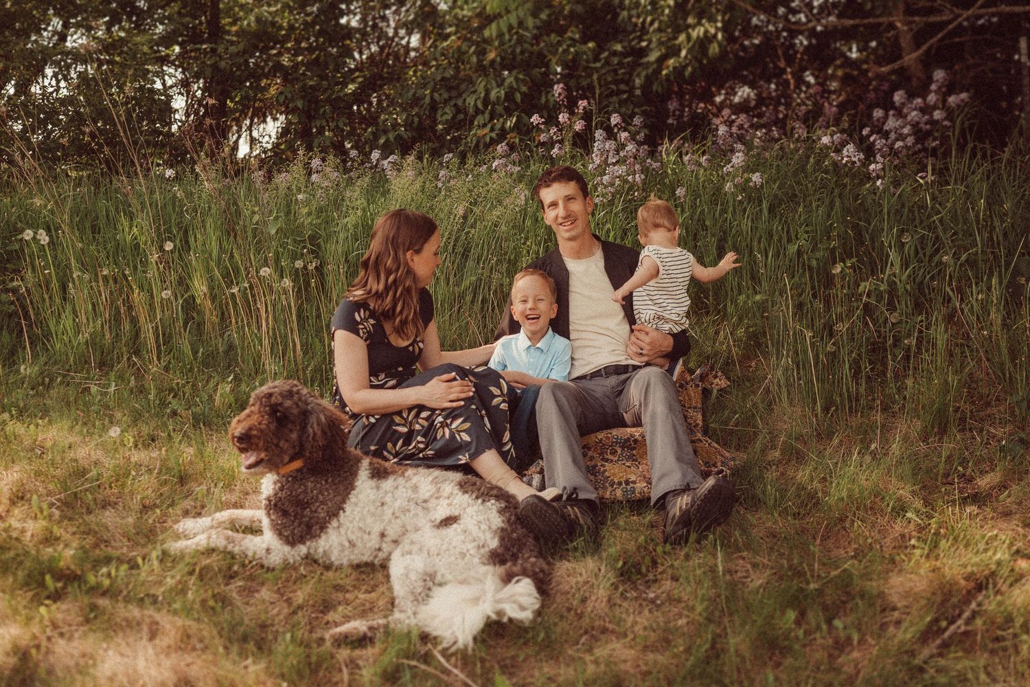 Family and dogs relaxing together on rustic bench in meadow during golden hour.