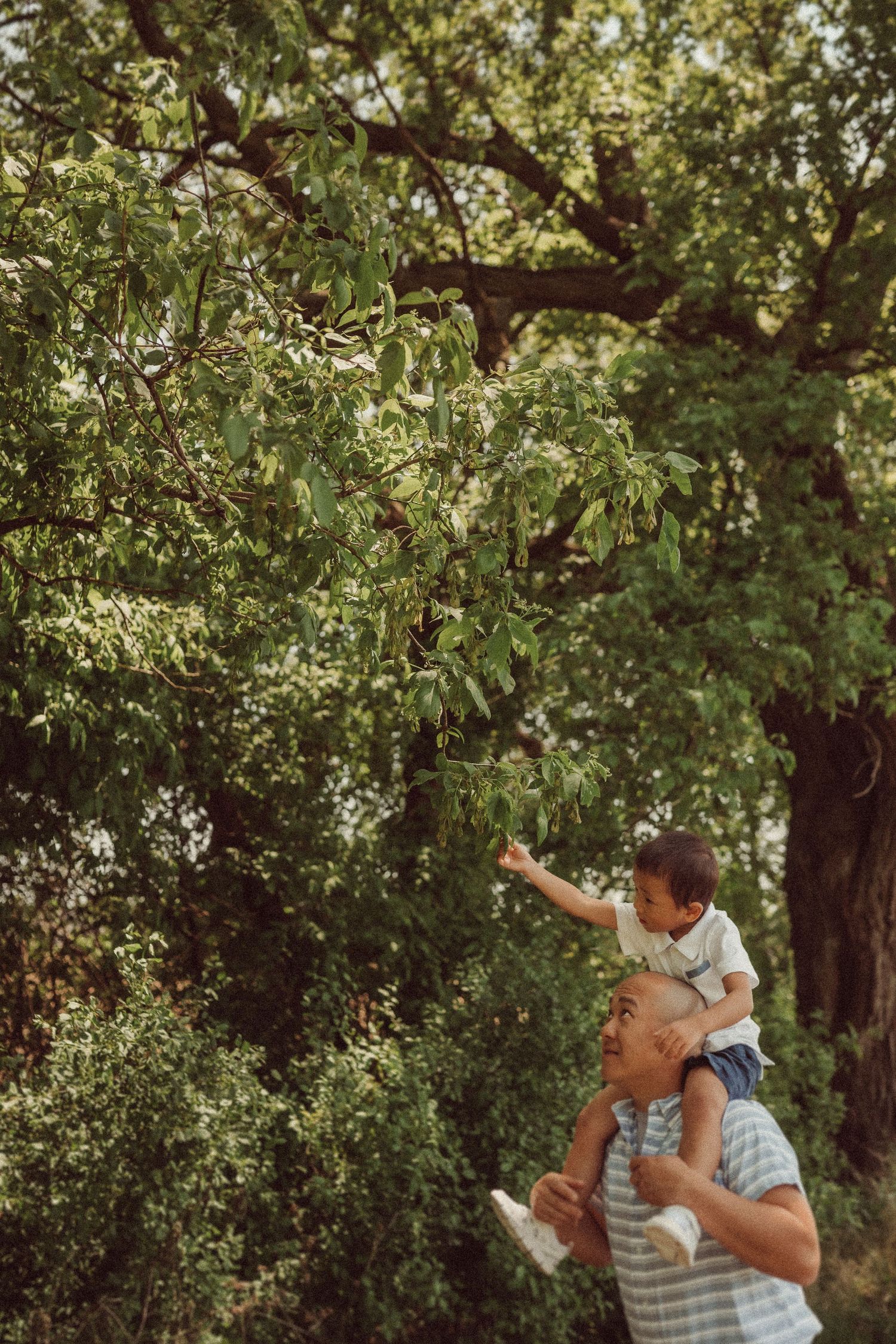 A joyful moment captured as a child reaches for tree branches while being lifted up.