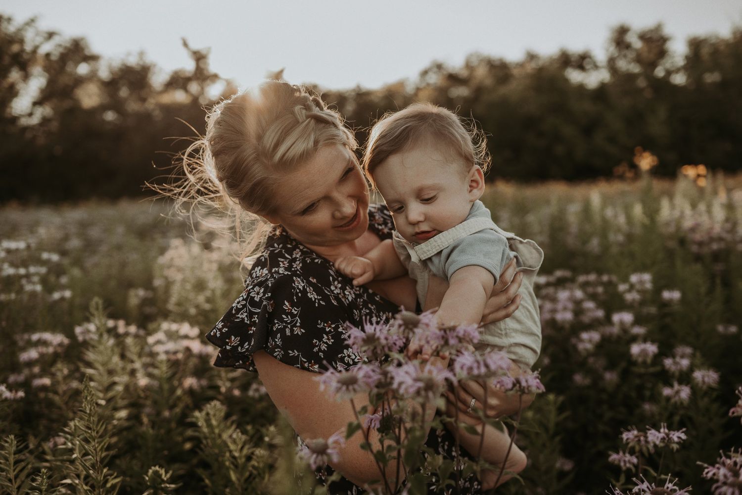 Intimate family portrait among wildflowers during golden hour sunset.