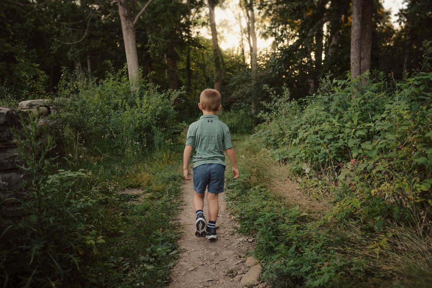 A dirt walking path winding through lush green forest vegetation in natural lighting.