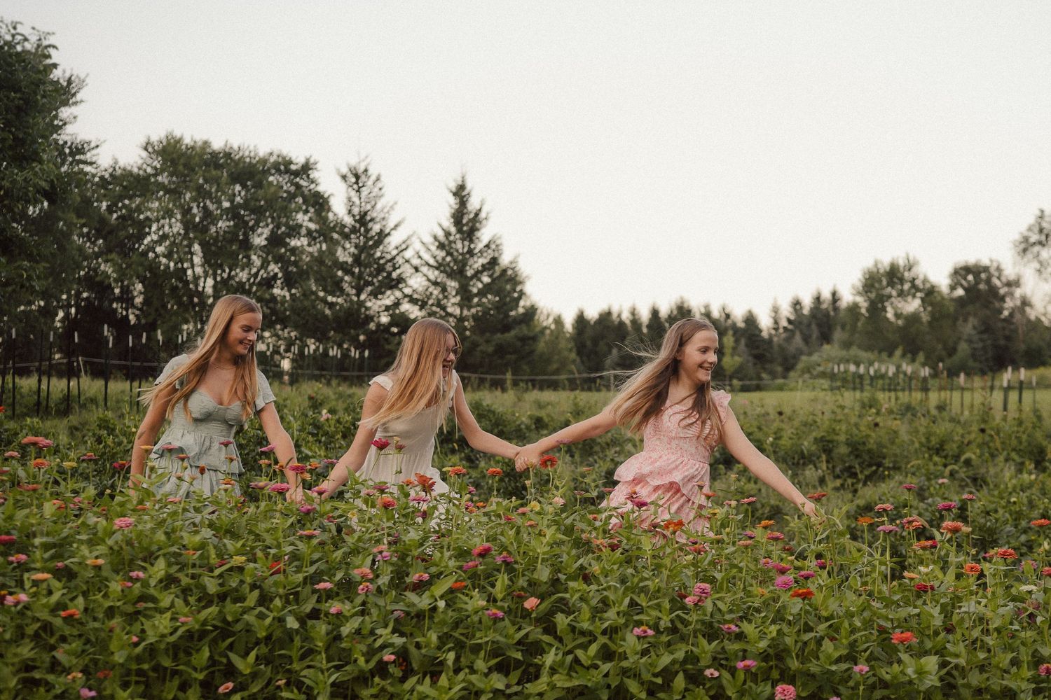 Three women in pink dresses pose joyfully in a wildflower field during an outdoor photoshoot at sunset.