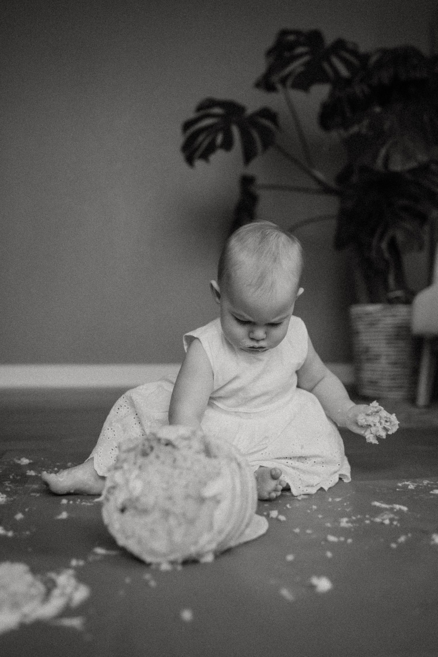 A small child in a white dress exploring a cake smash setup with potted plants in the background.