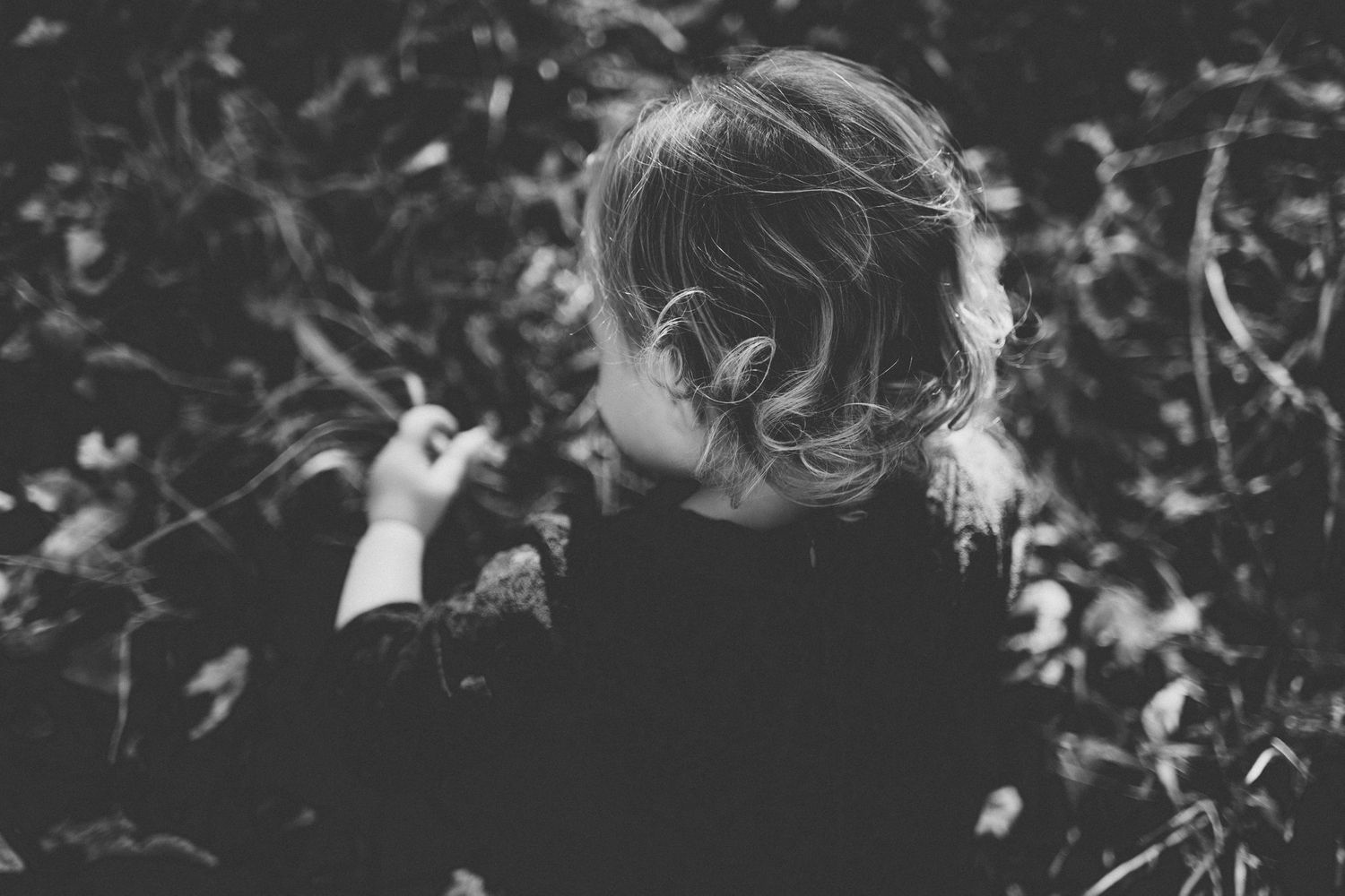 Black and white artistic portrait showing curly hair silhouette against natural backdrop.