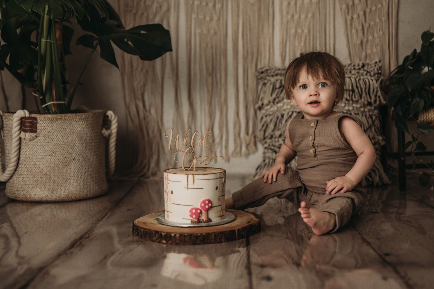 A white birch-themed cake with red mushroom decorations sits on a wooden slice beside houseplants and macrame decor.