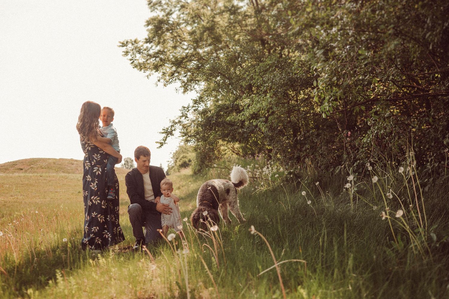 A family enjoying time together in a golden field at sunset near trees.