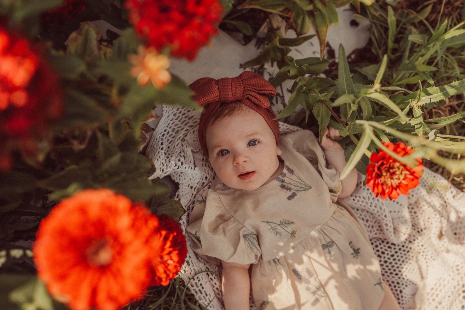 Baby wearing lace outfit and bow smiles amid blooming red zinnias in garden.