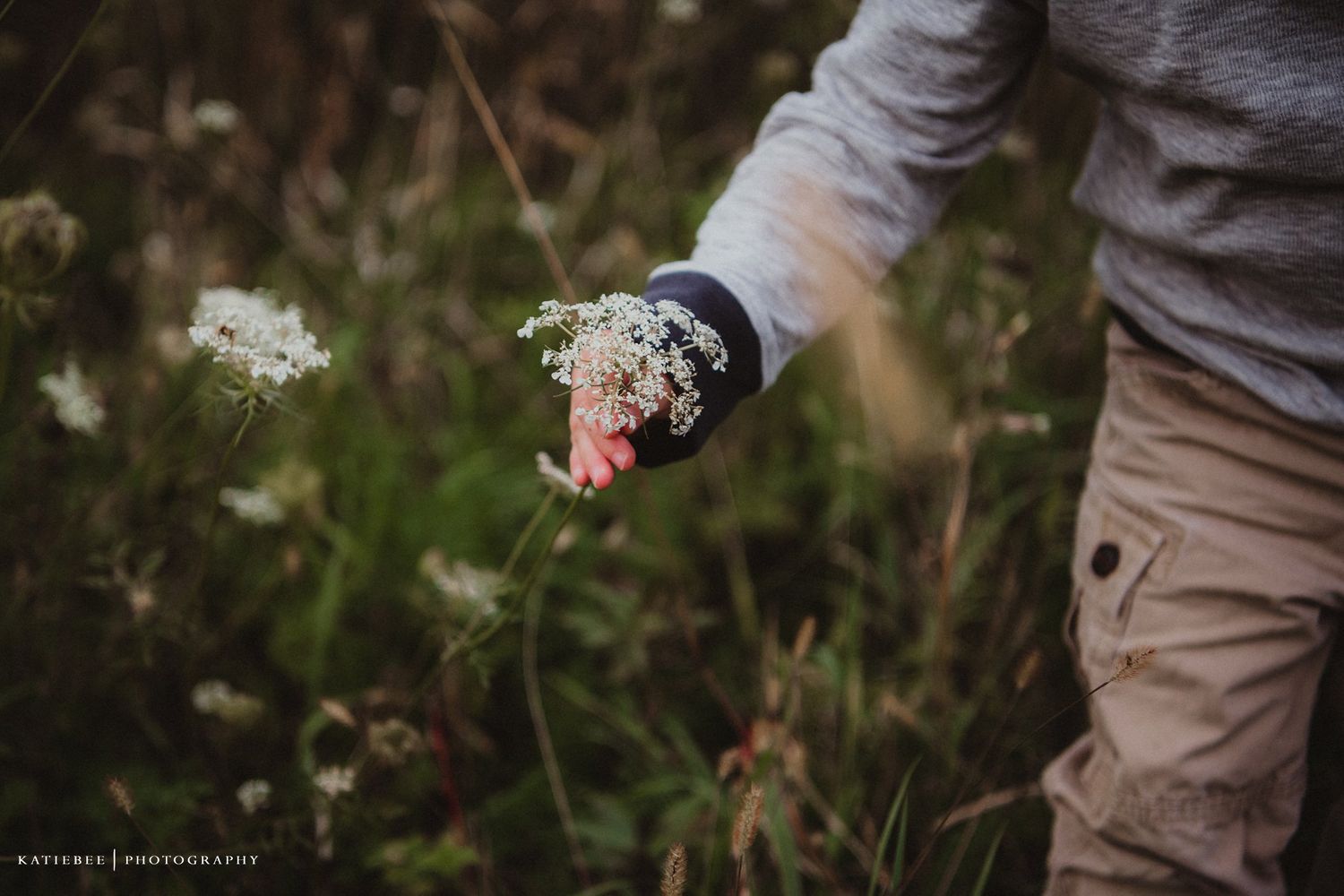 Close up shot of hands holding delicate white wildflowers in a field.
