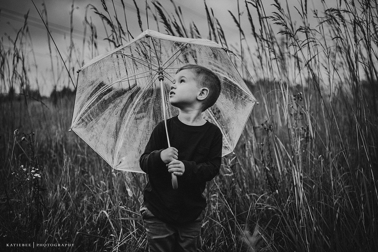 Black and white image of child with umbrella surrounded by tall grass.
