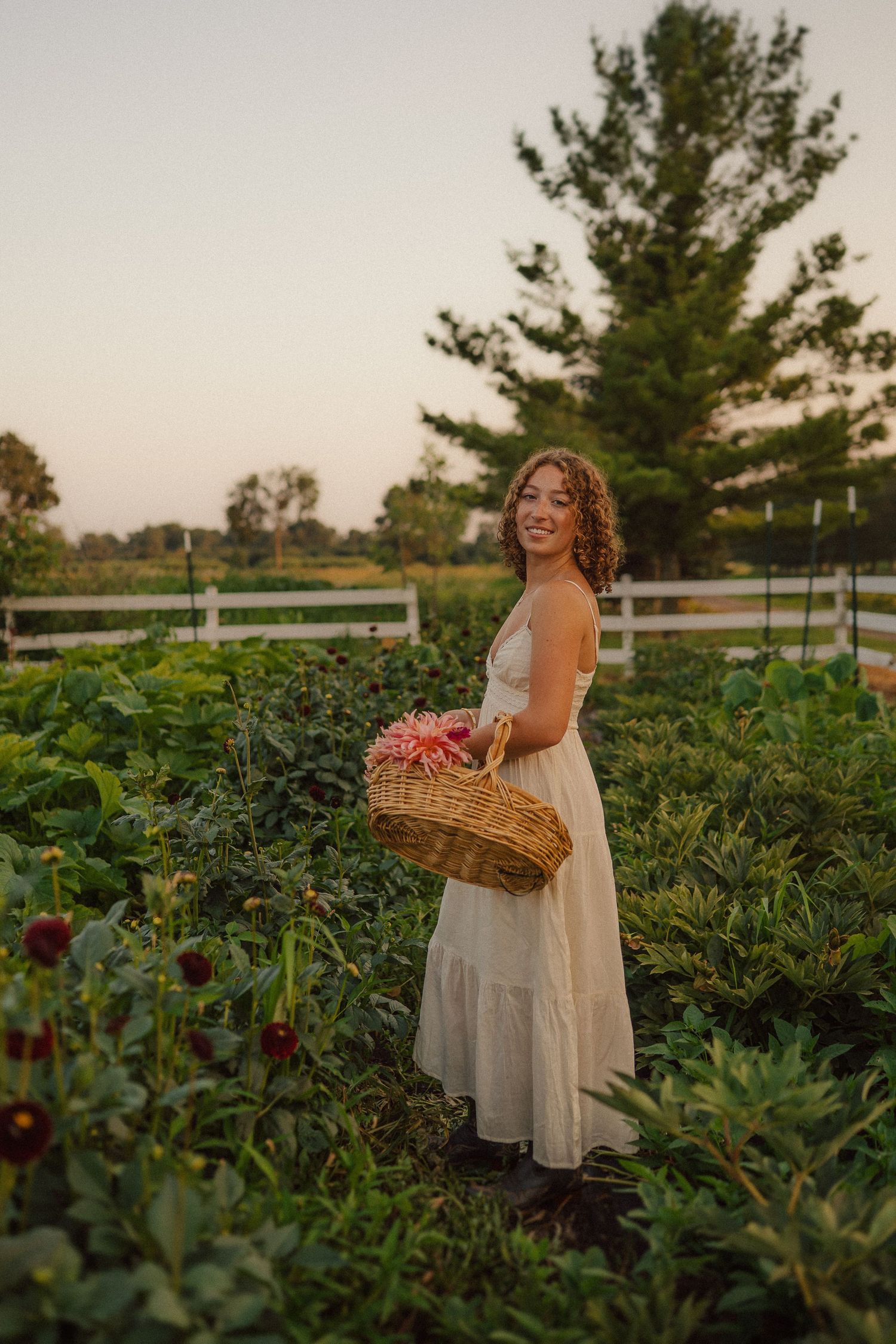 A light-filled garden scene with someone carrying a wicker basket among blooming flowers at dusk.