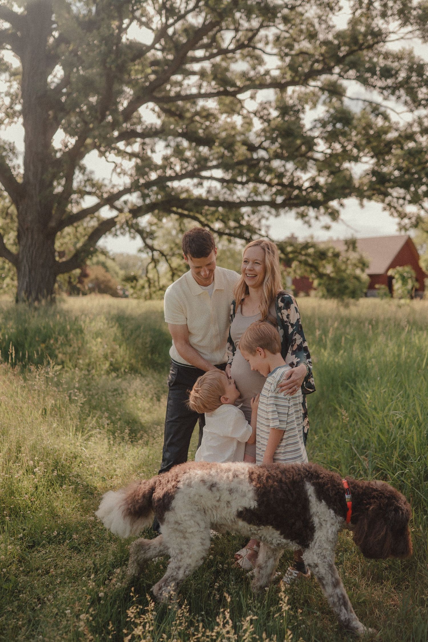A happy family with two boys and a spaniel dog enjoys a sunny day in a lush green field.