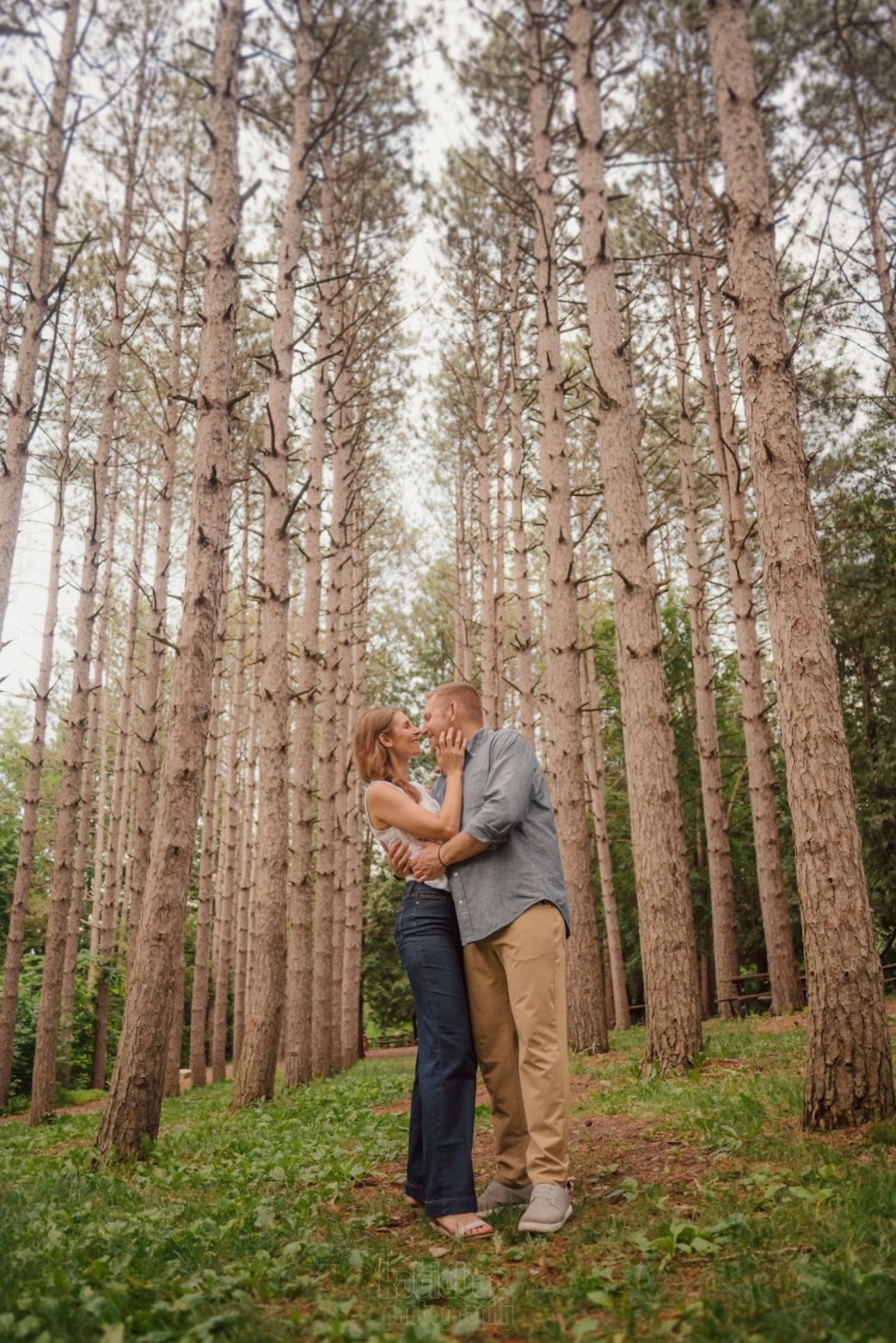 A romantic moment captured between two people in a serene pine forest.