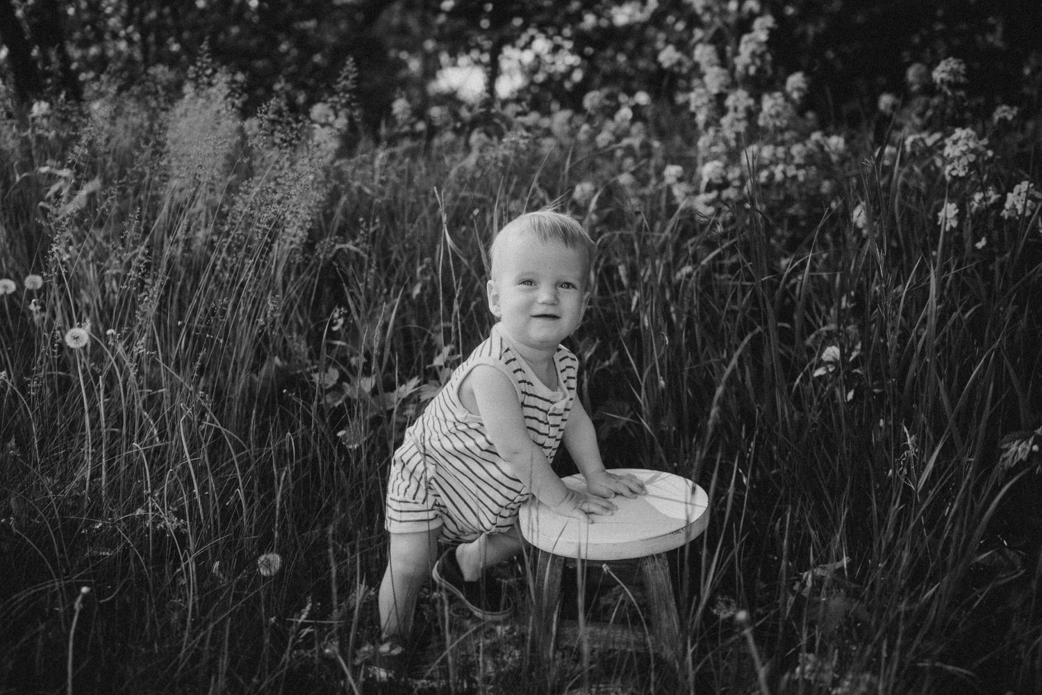 A small child in stripes sits on a wooden stool surrounded by tall wildflowers in a black and white photo.