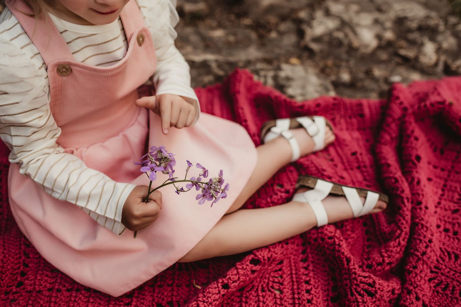 Close-up of small hands holding purple flowers while sitting on a red blanket.