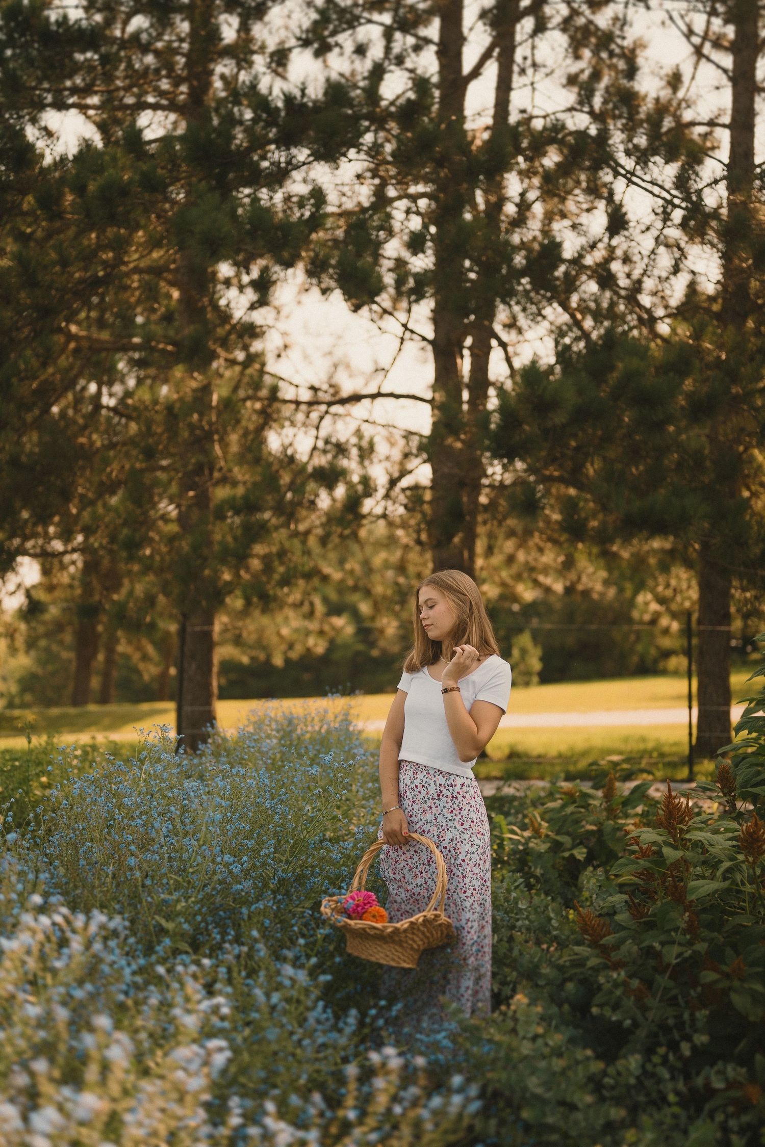 A romantic scene in a garden with someone holding a wicker basket among blooming blue flowers and tall pine trees.
