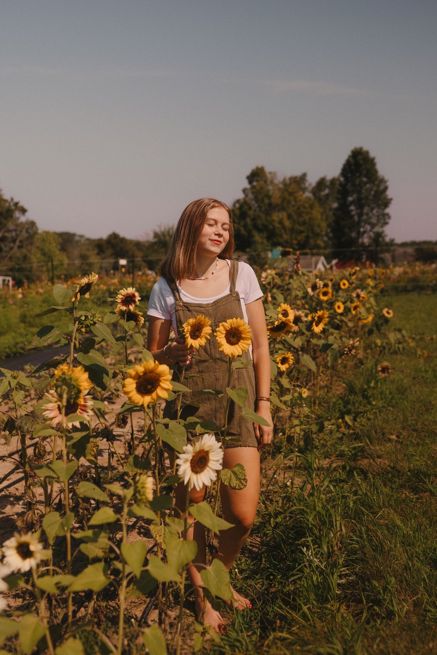Sunflower field portrait in evening light wearing overalls and white shirt.