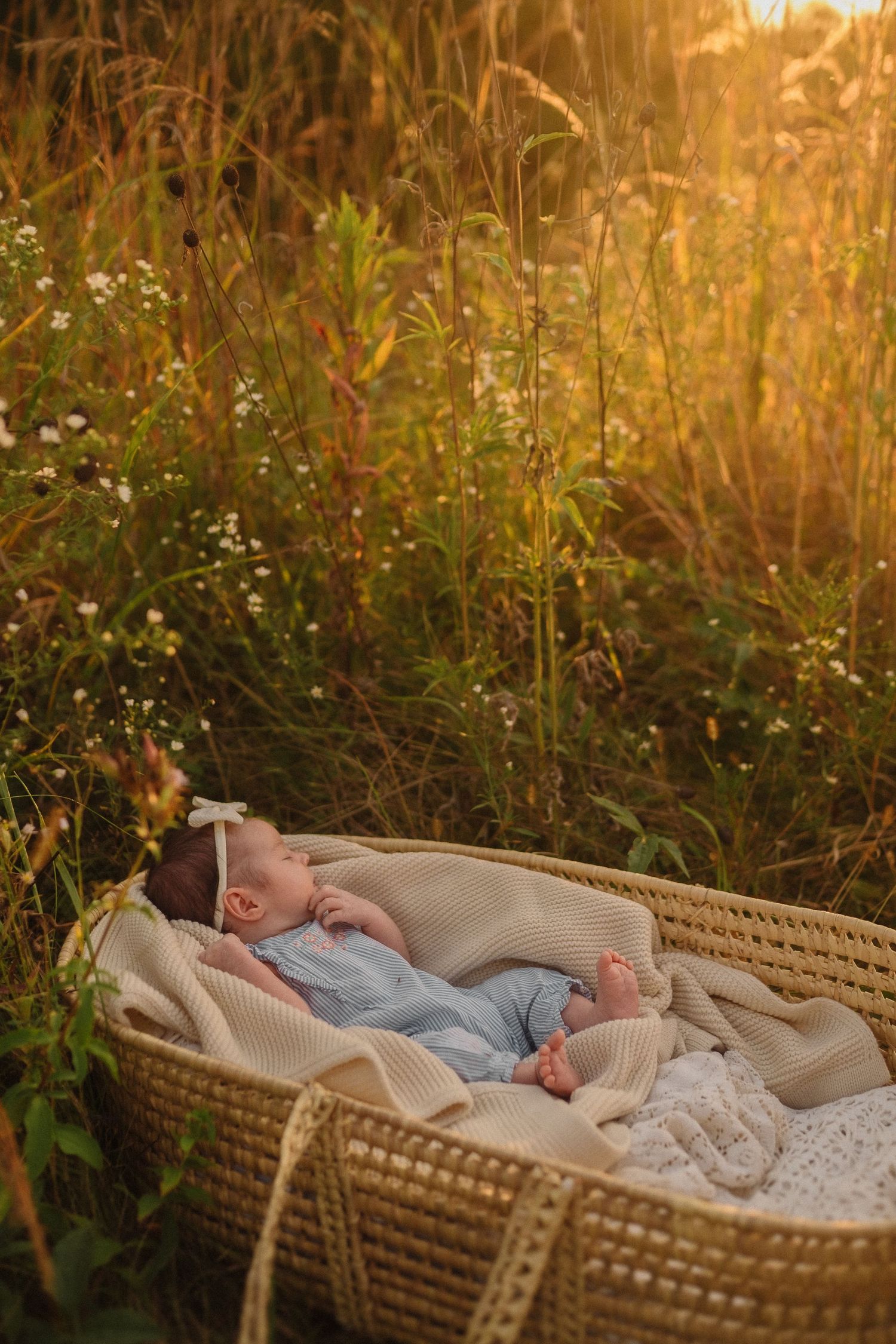 Baby sleeping peacefully in wicker bassinet during golden hour among tall grasses and wildflowers.