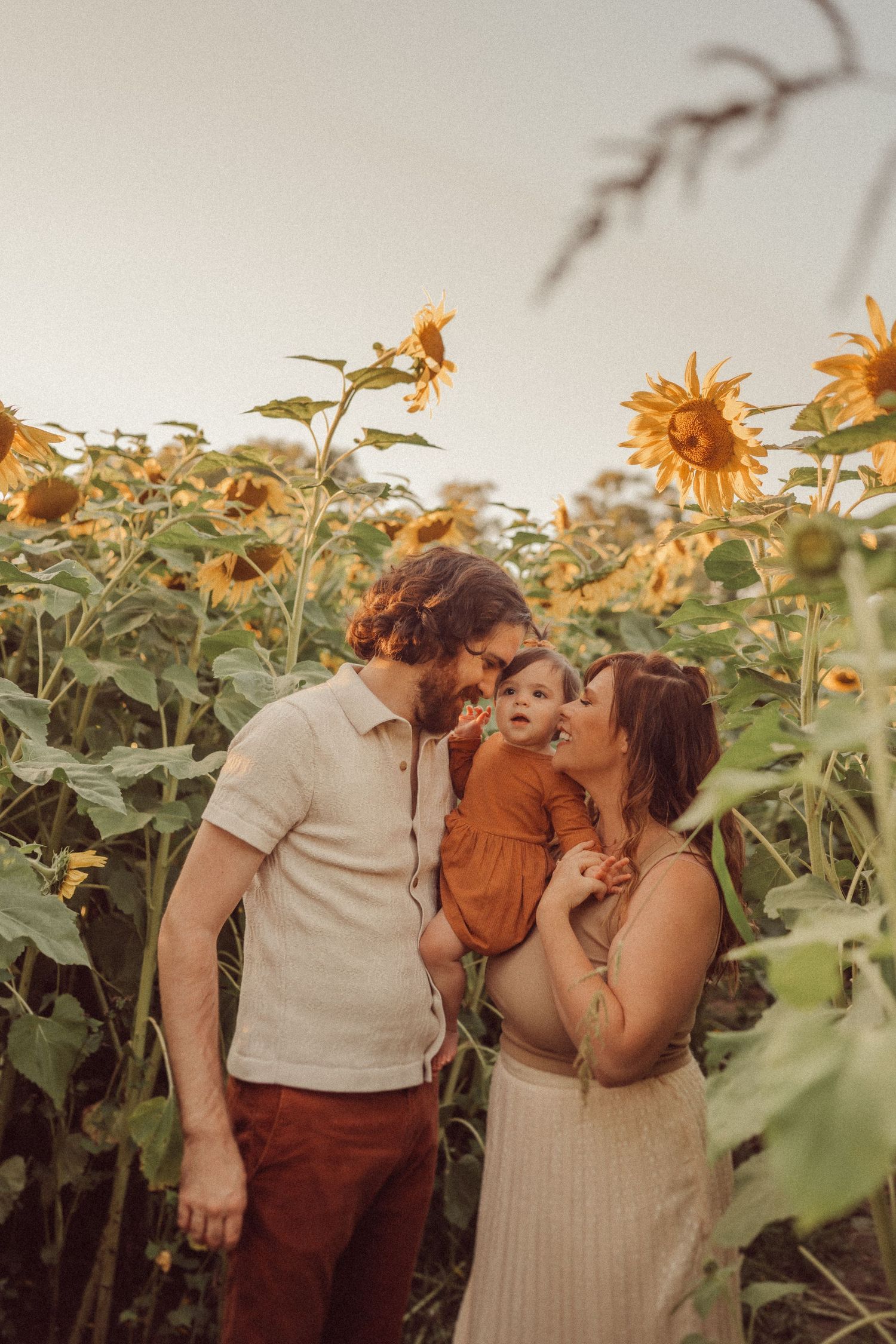 Intimate family portrait captured in a golden sunflower field.