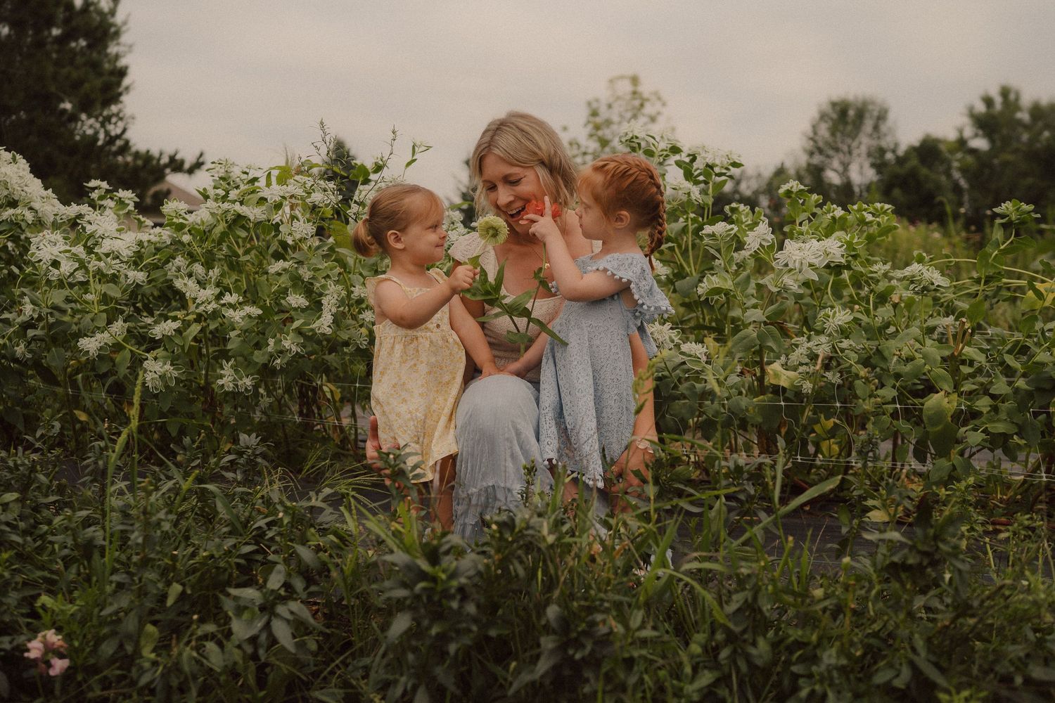 Family enjoying a sweet moment together among blooming zinnia flowers in a lush outdoor garden setting.