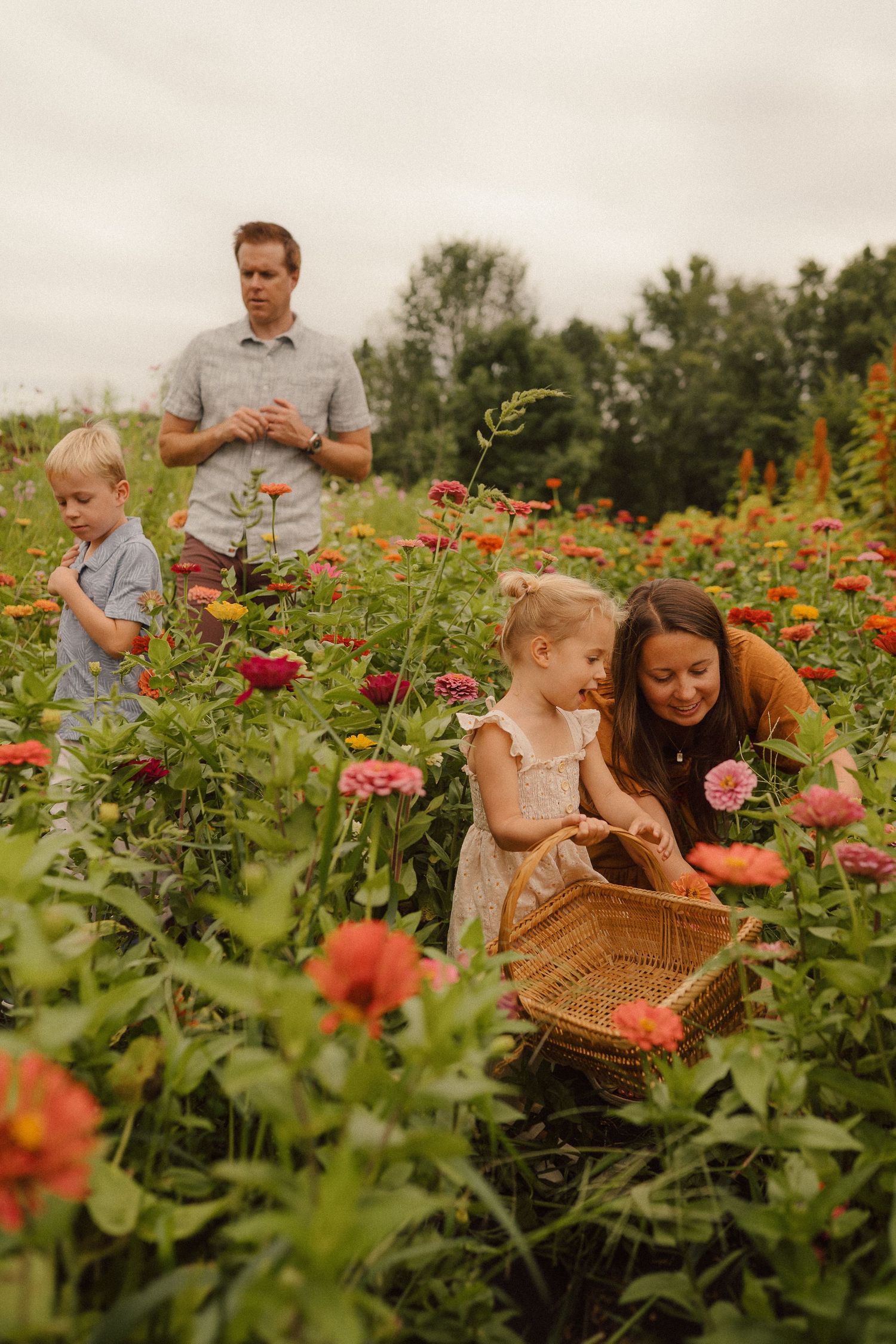 Family picking colorful flowers together in a garden full of pink and coral blooms on a summer evening.