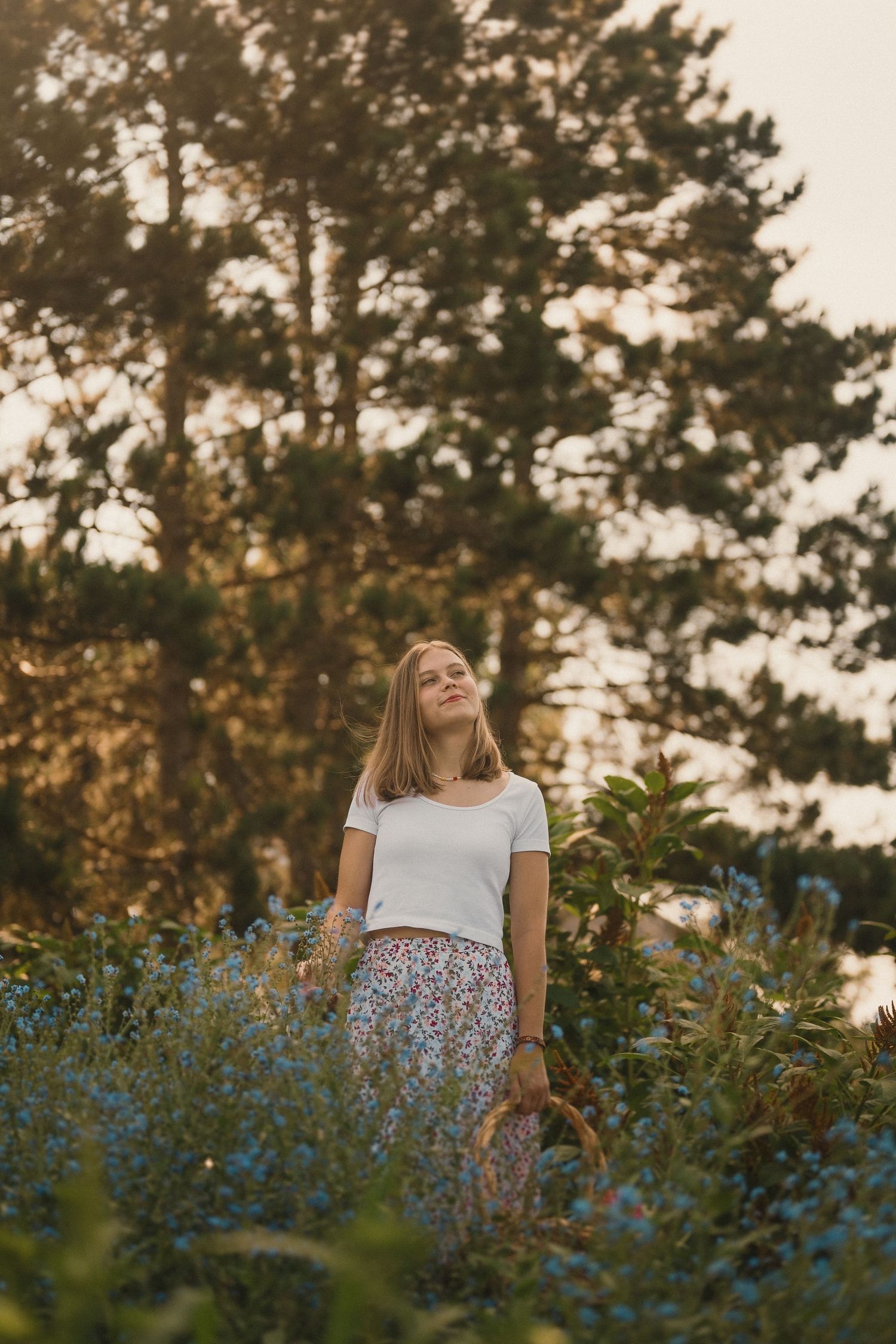 Figure stands in a dreamy meadow of blue flowers with pine trees in golden sunset light.