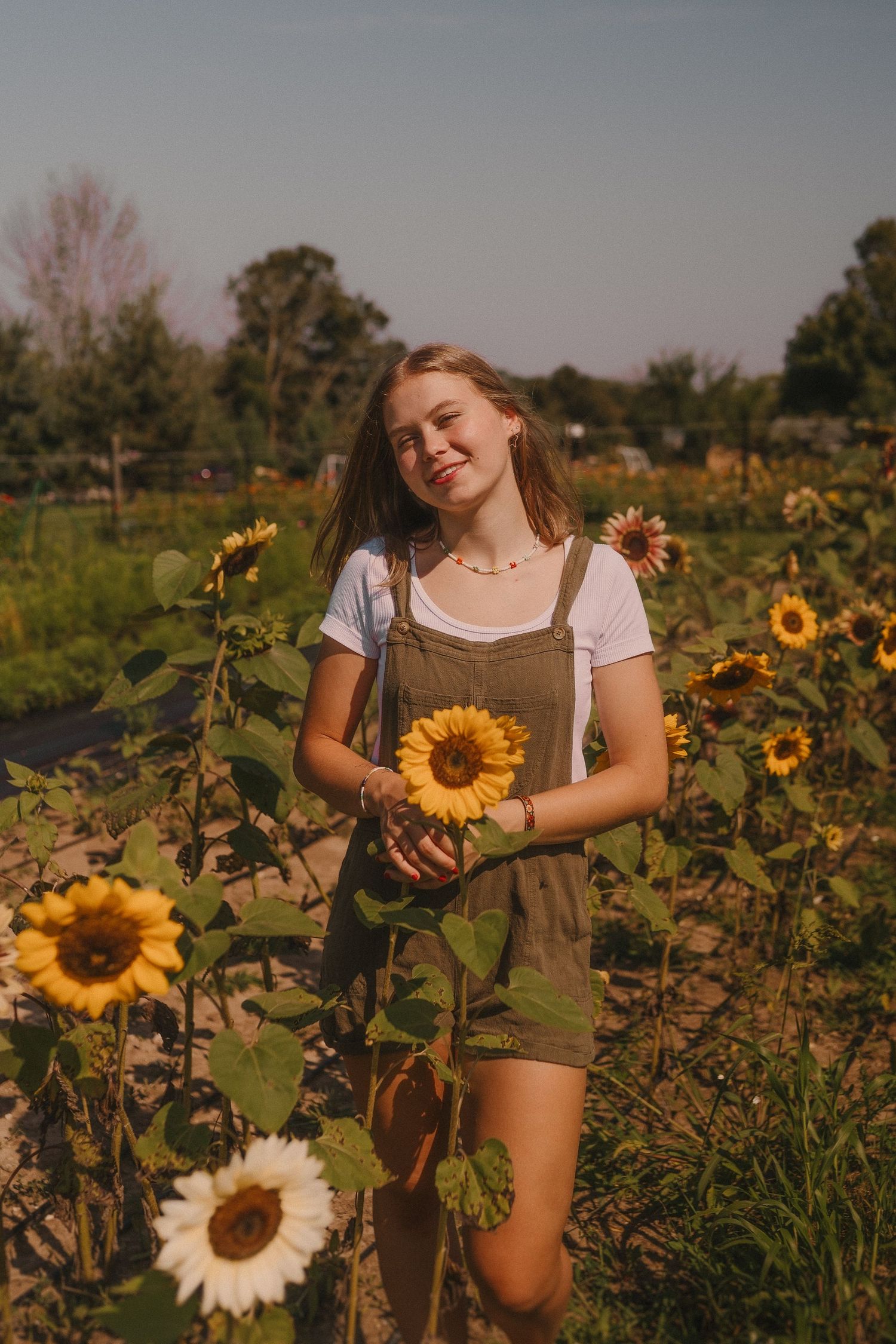 A person in brown overalls holding a sunflower in a sunny garden during golden hour.