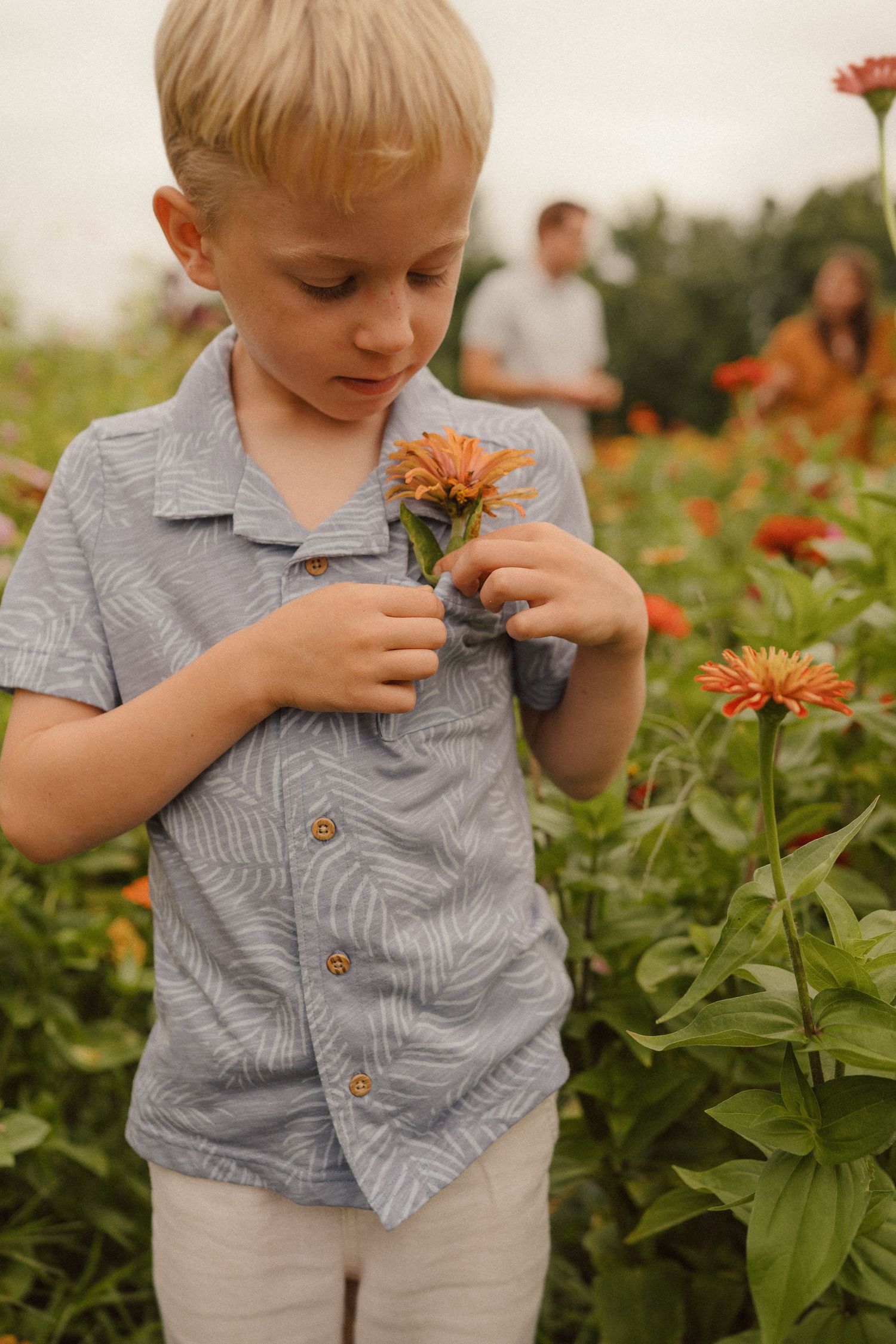 A child wearing gray shirt examines orange zinnias in a garden field on a summer day.