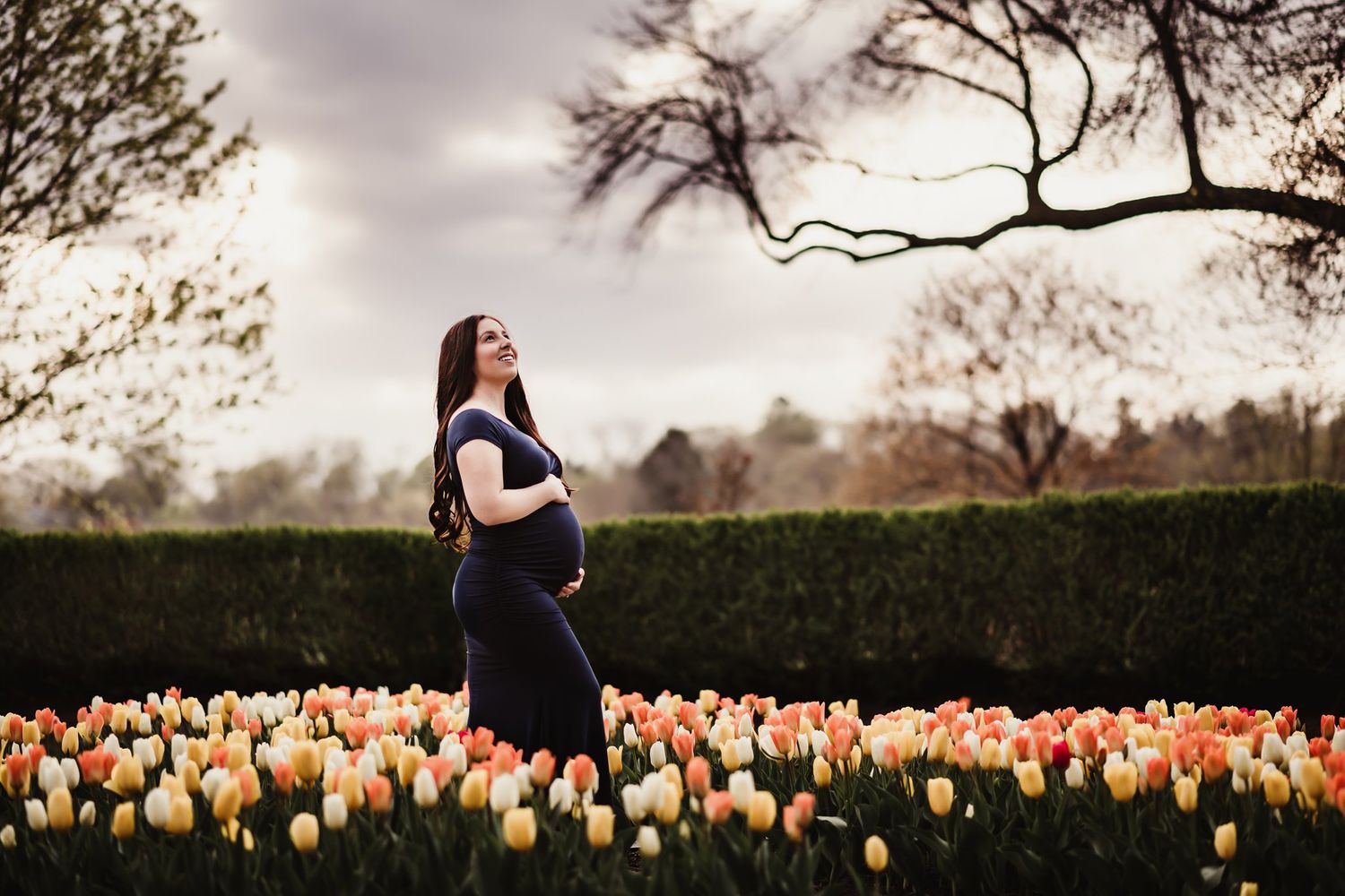 Silhouetted maternity portrait among garden of spring tulips at sunset.