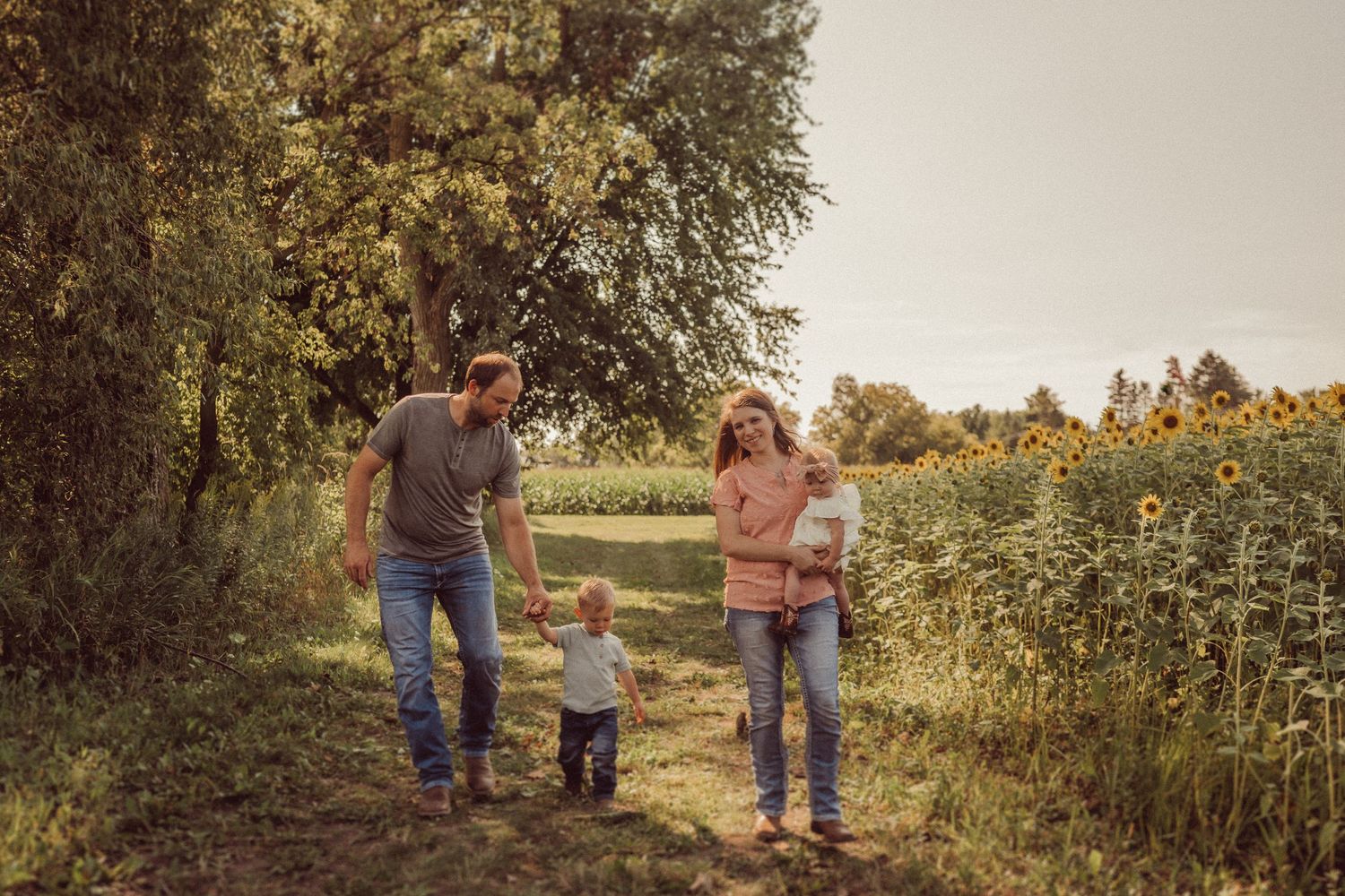 A family walks together along a countryside path bordered by sunflowers.