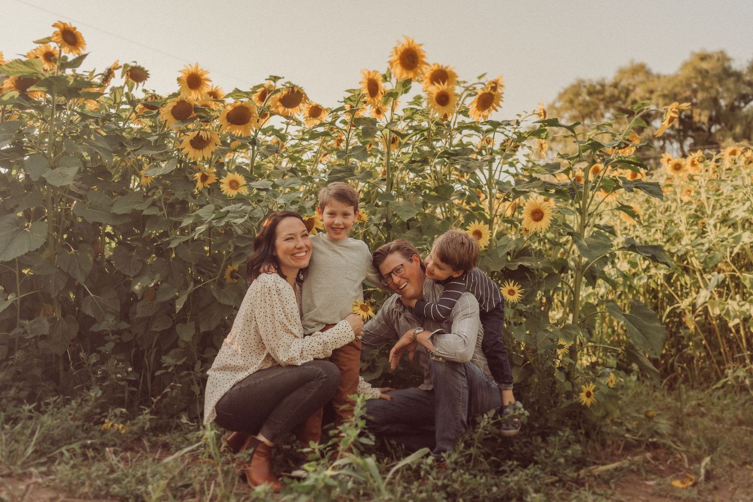 Family shares an intimate moment while sitting together in a sunflower field.