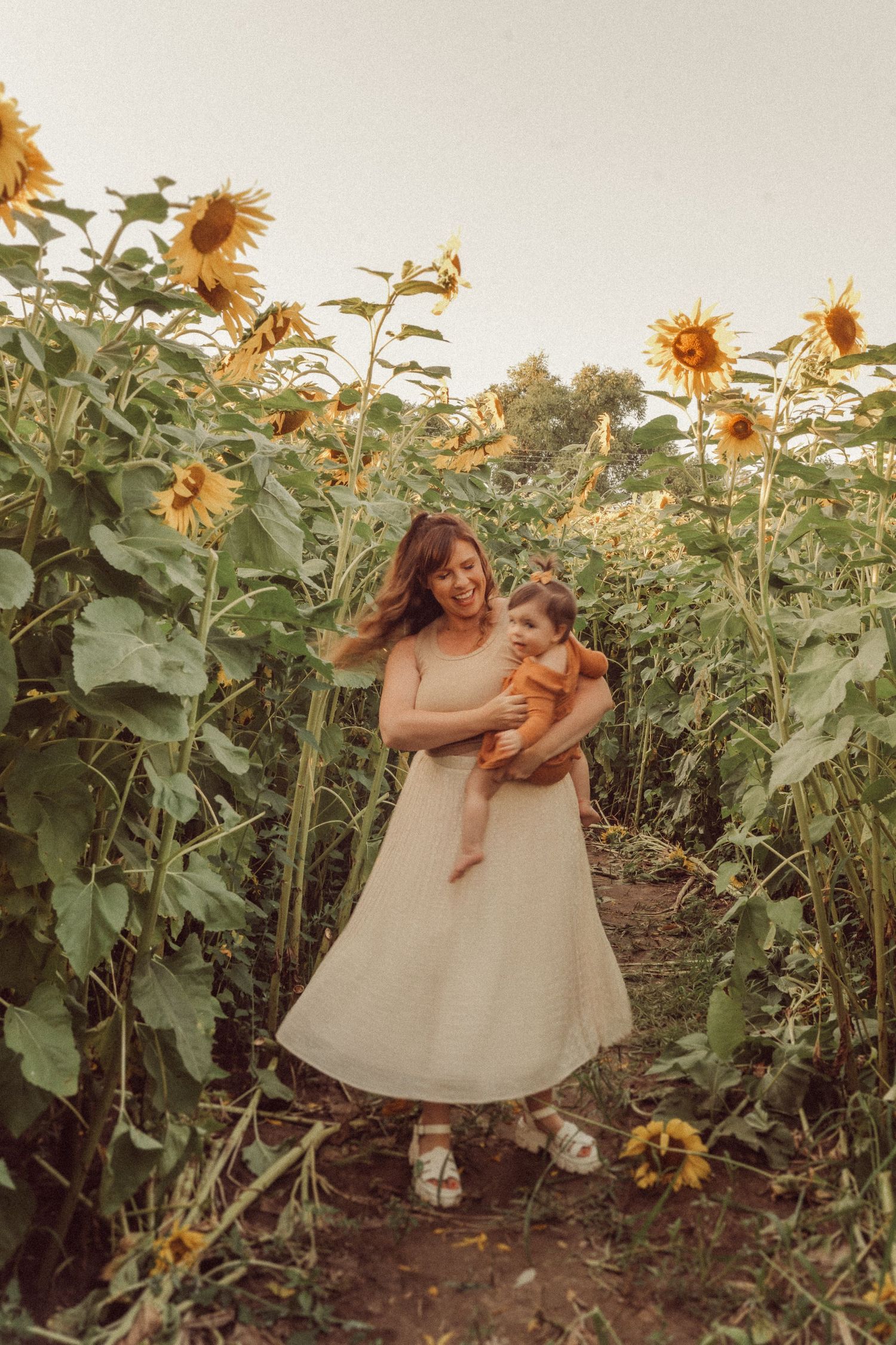 People enjoying a magical moment among blooming sunflowers at sunset.