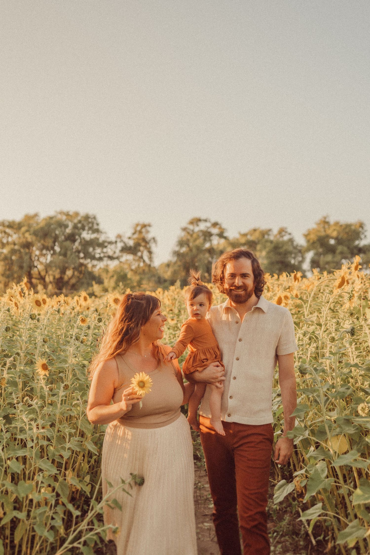 Family of three sharing a tender moment in a sunlit sunflower field.