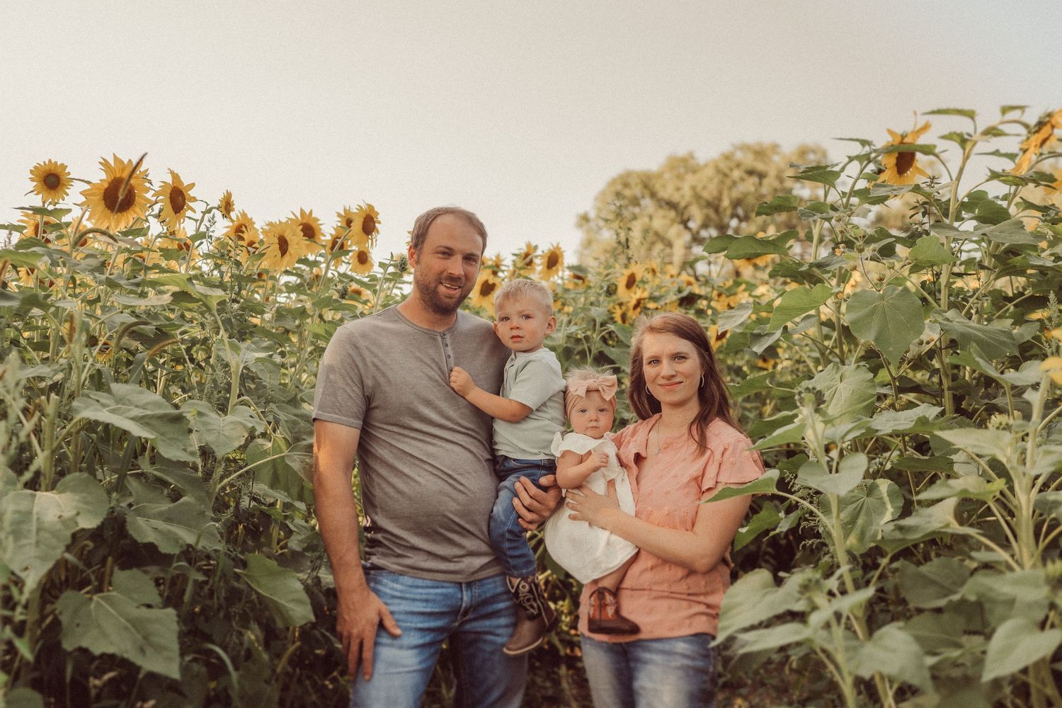 Family portrait surrounded by tall blooming sunflowers on a summer evening.