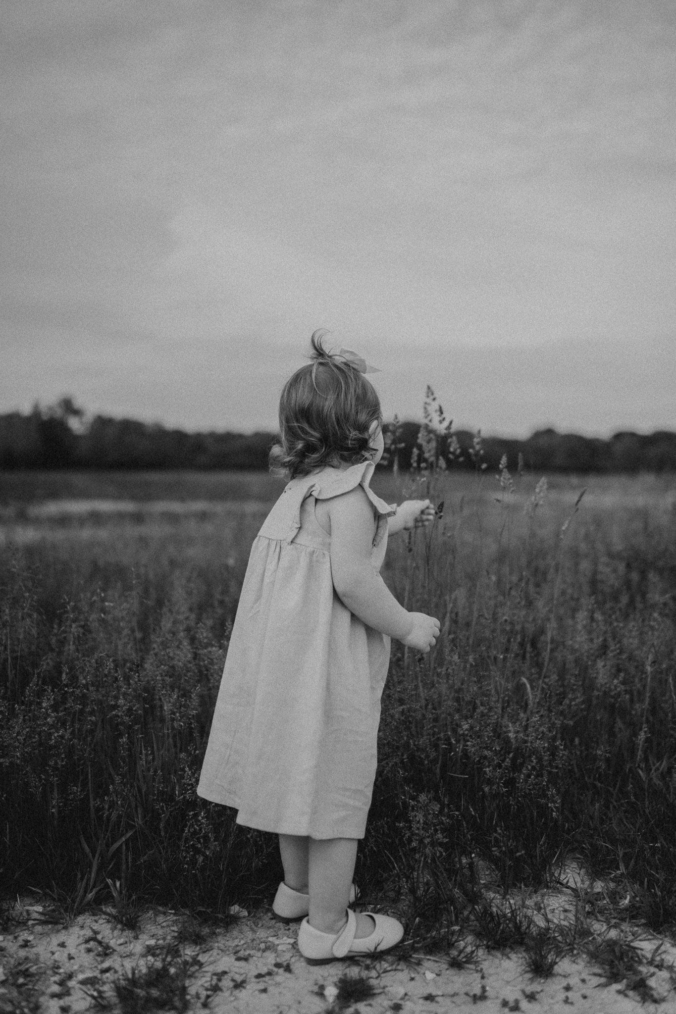 A silhouetted figure stands among tall grasses at dusk holding wildflowers.
