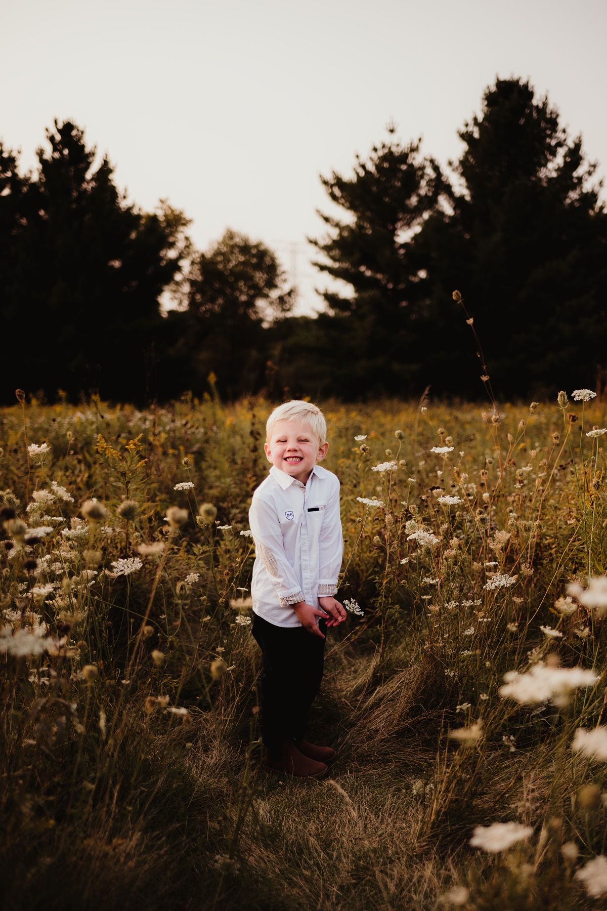 Child standing in field of white wildflowers during golden hour.