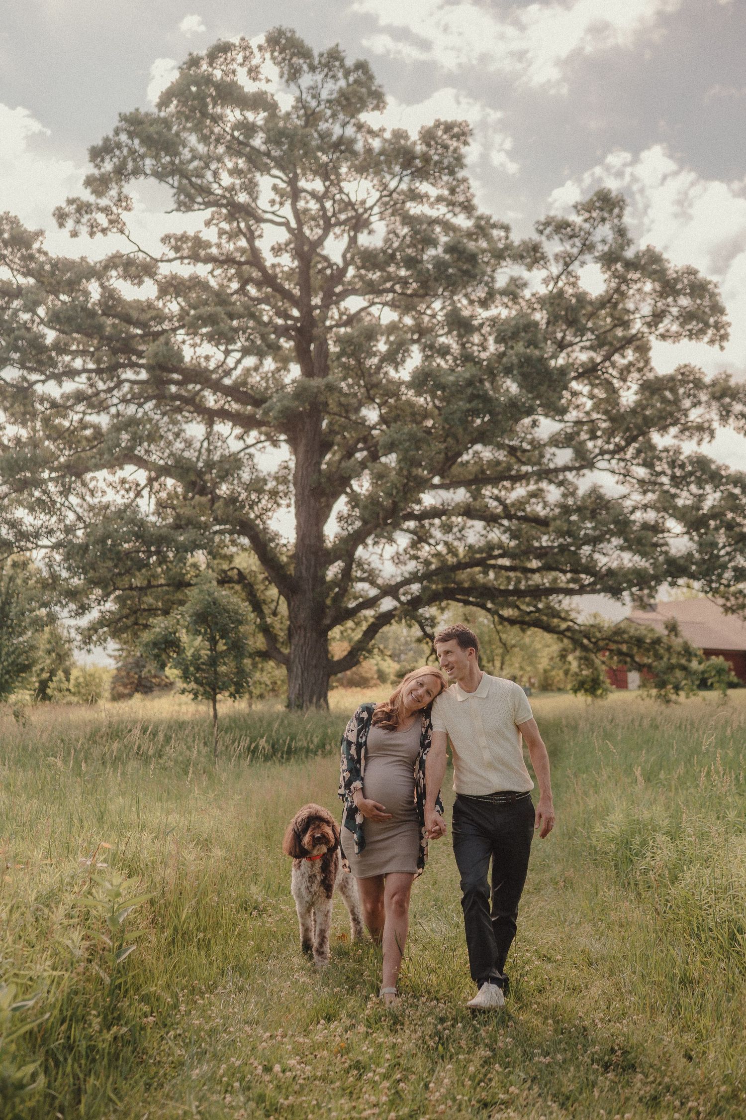 A pregnant woman and man walk through a green field with their spaniel dog near a large oak tree.