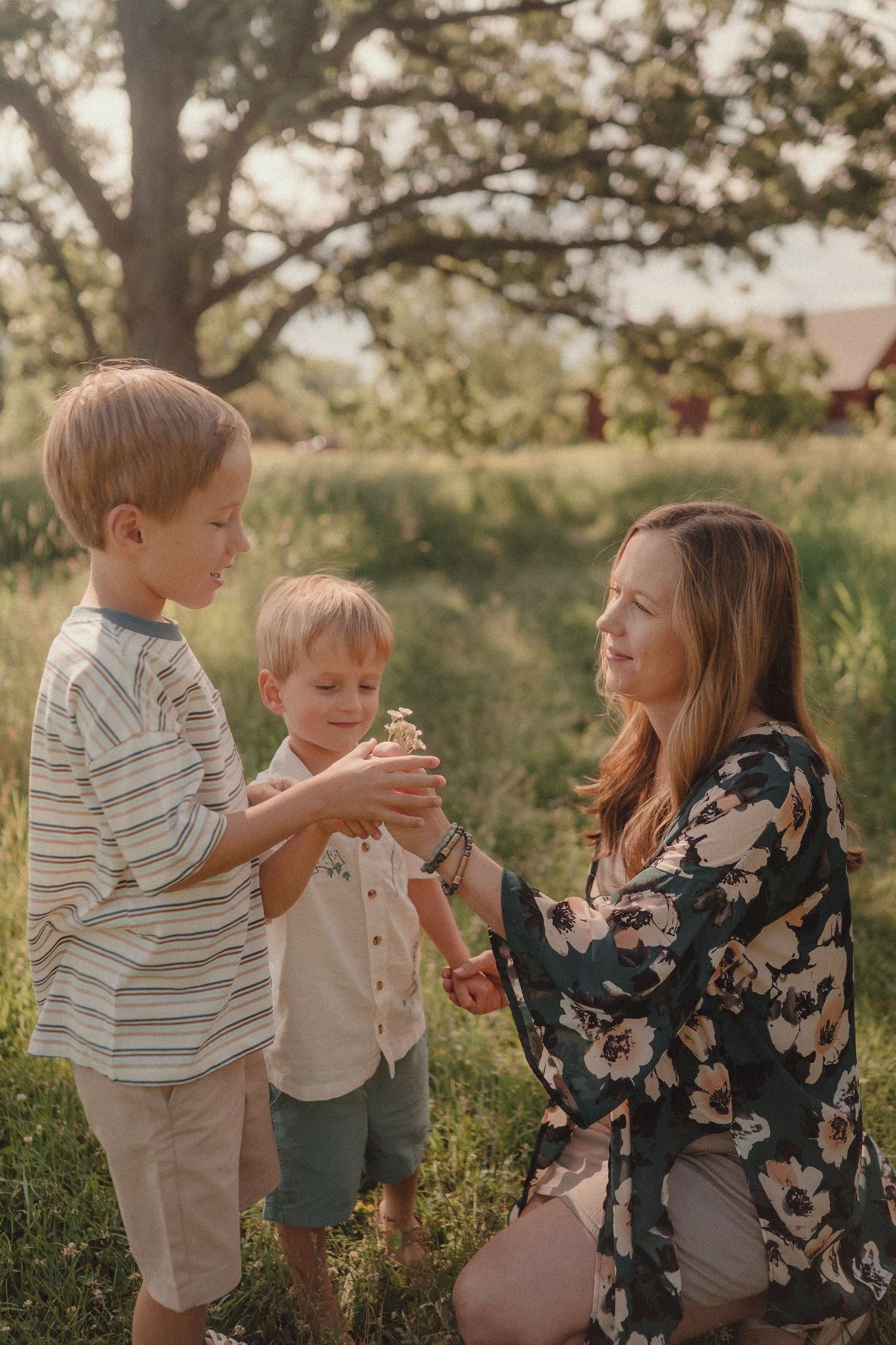 A mother kneels in a sunny meadow as her two young blonde sons show her a small wildflower.