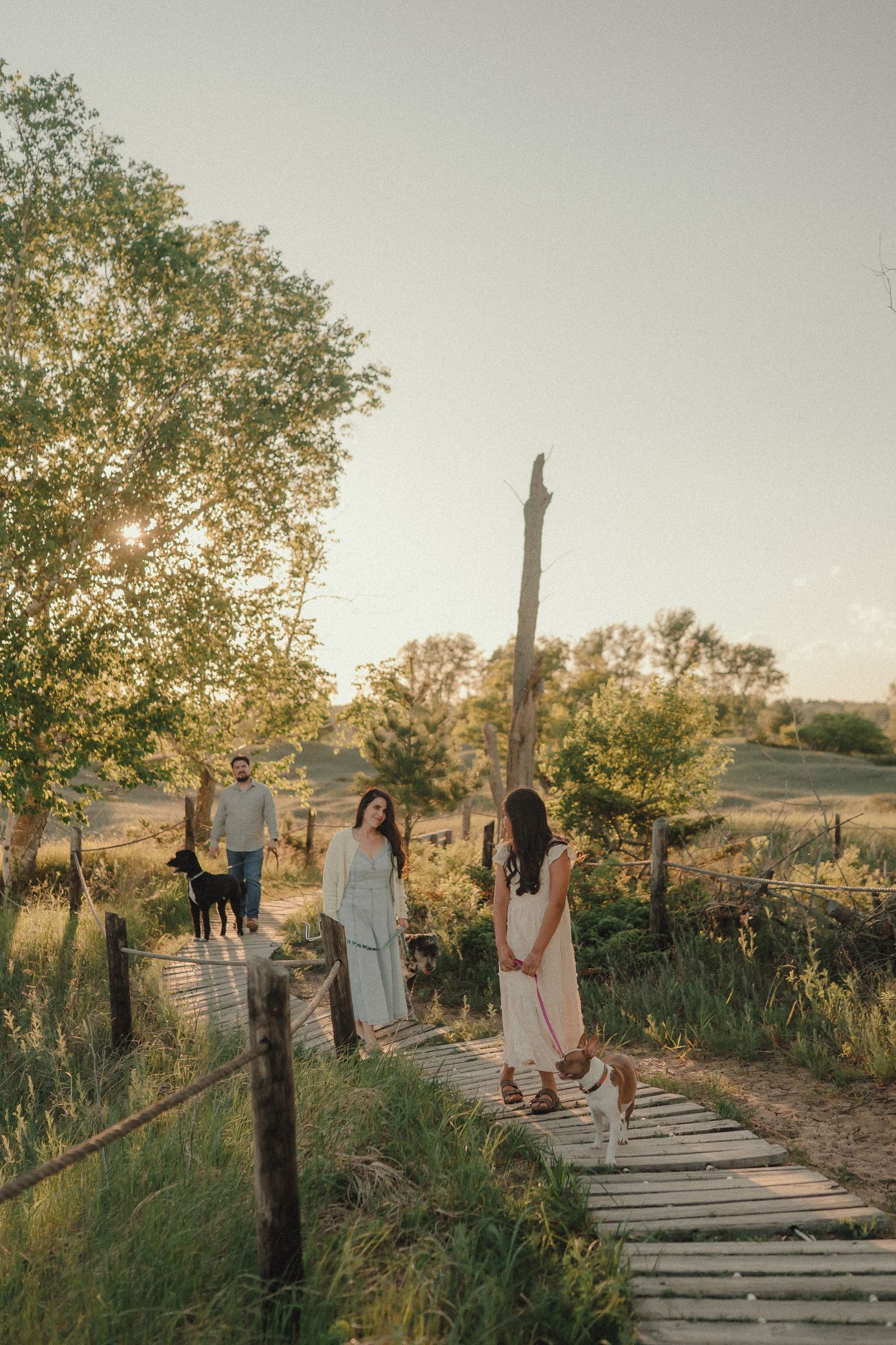 Family with dogs walking on wooden boardwalk path surrounded by lush green trees at sunset.