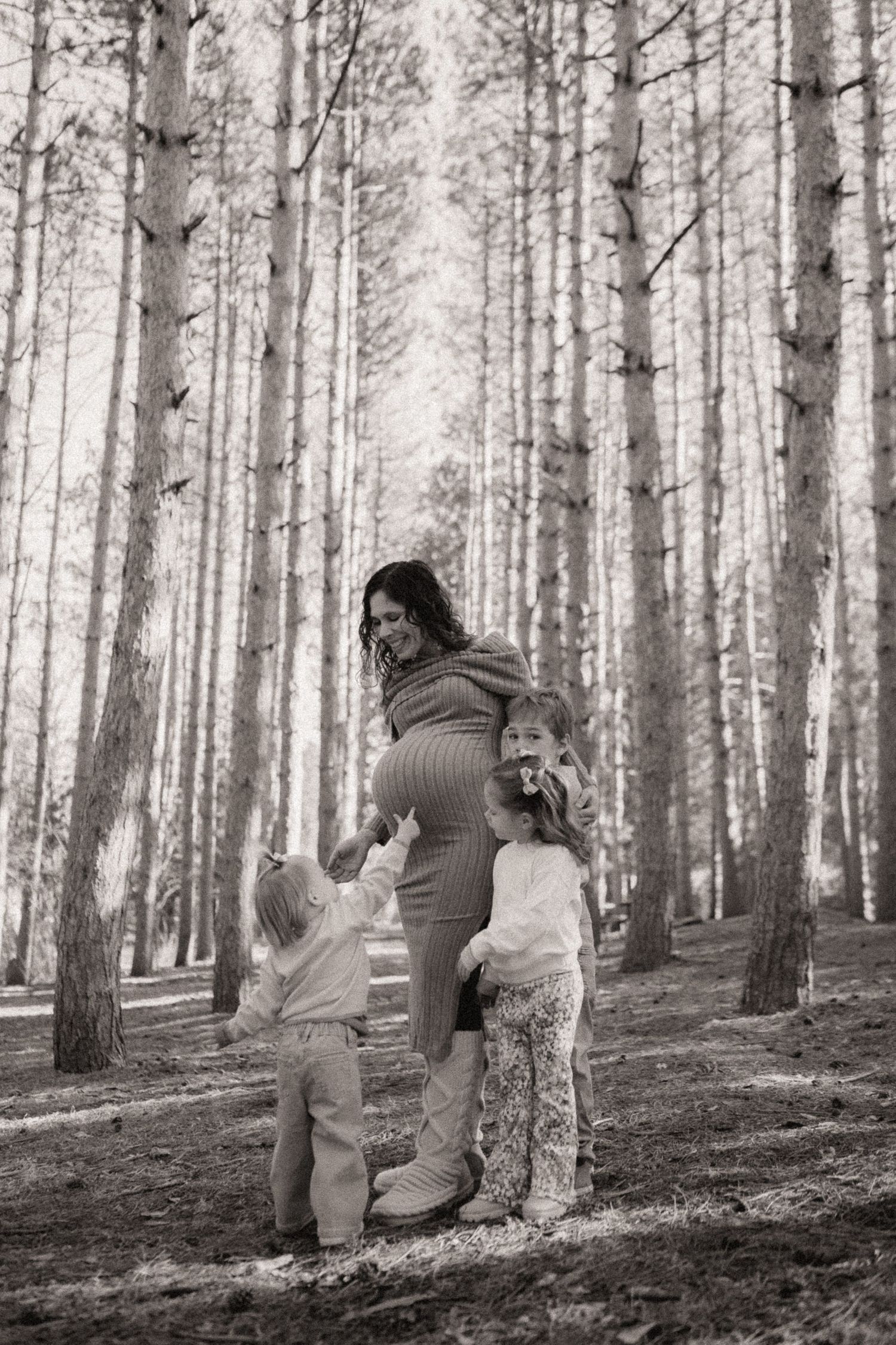 Series of candid moments captured in a sunlit forest with tall pine trees.